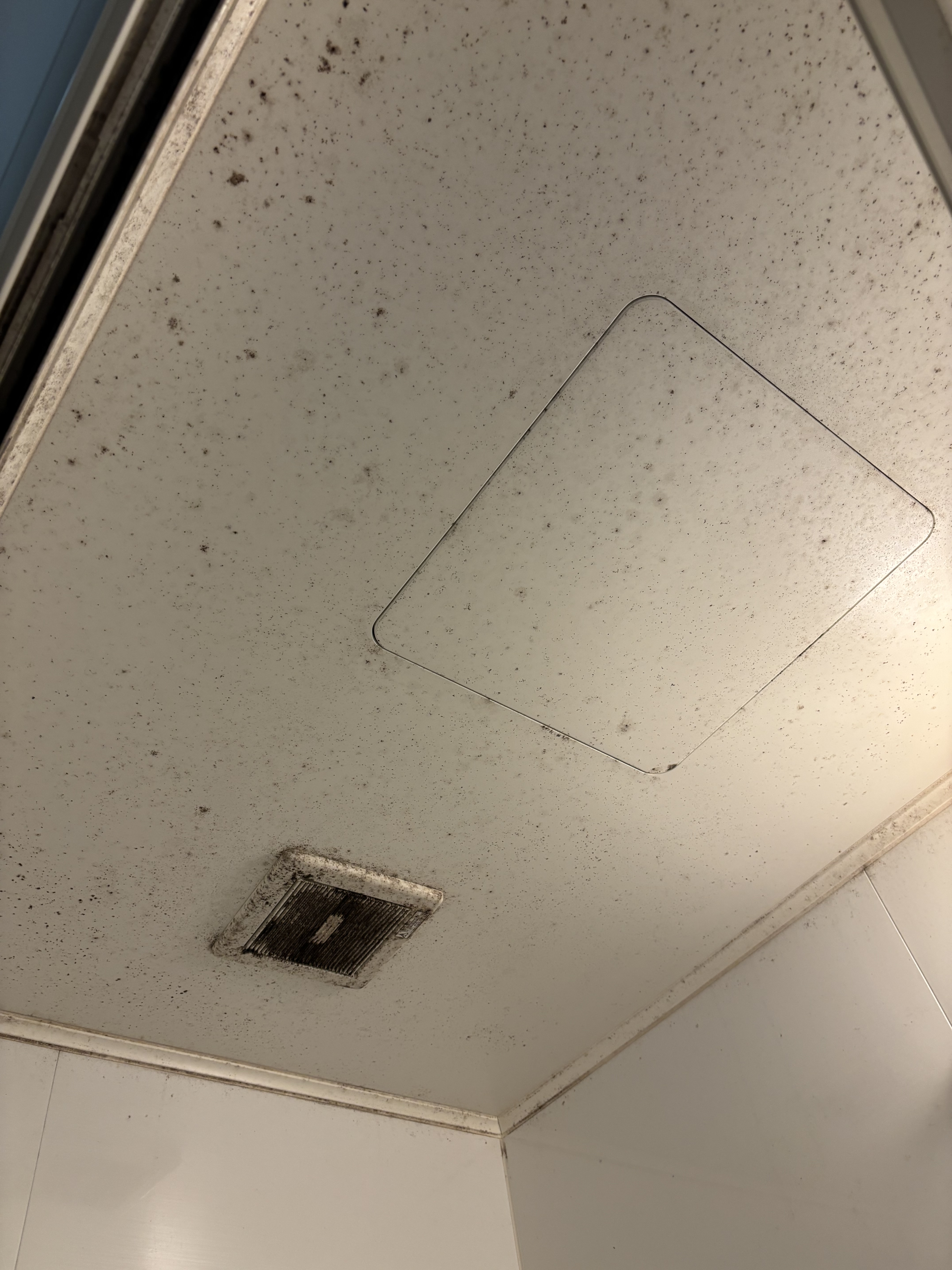 神奈川県藤沢市の浴室・お風呂クリーニングの作業前3