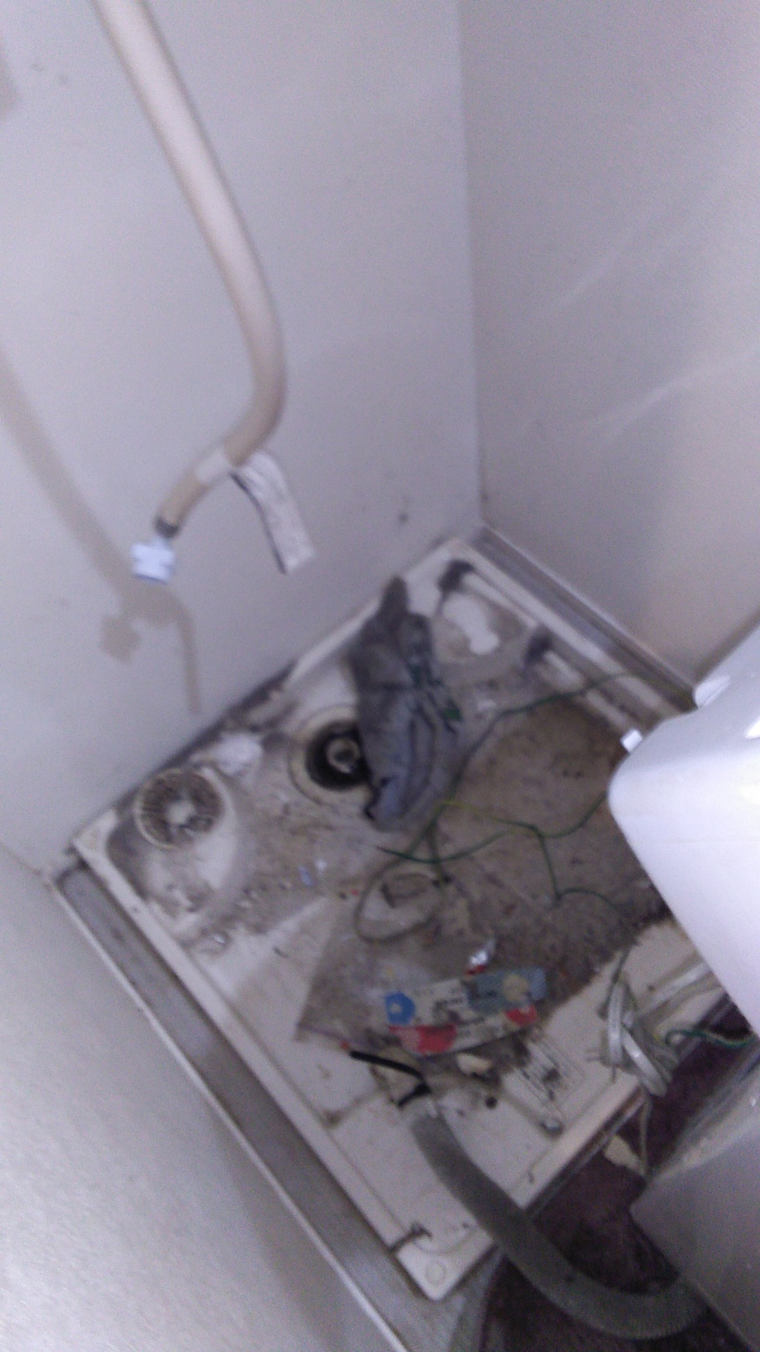 青森県八戸市の洗濯機分解クリーニングの作業前3