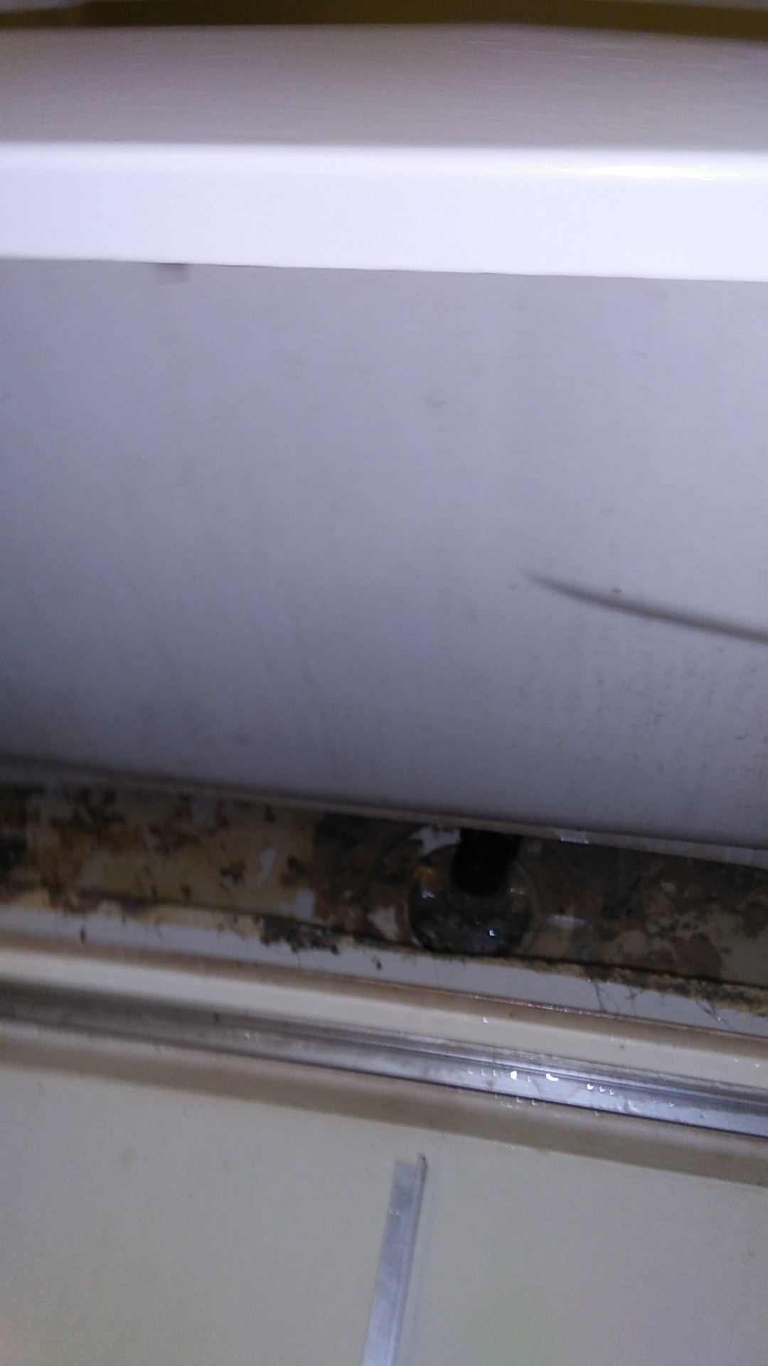 青森県八戸市の浴室・お風呂クリーニングの作業前3