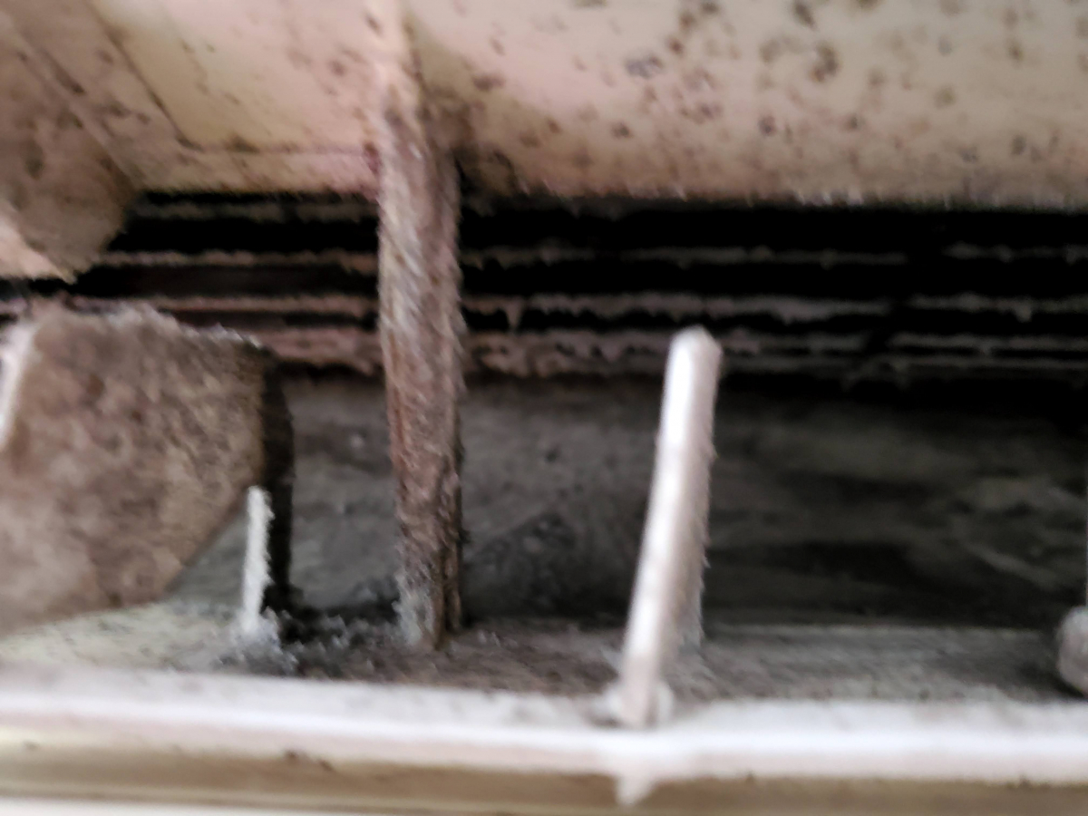 宮崎県延岡市の洗濯機分解クリーニングの作業前1