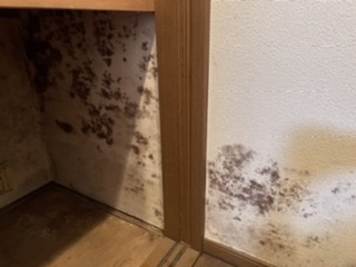 東京都世田谷区駒沢の何でもわがまま定額サービスの作業前1