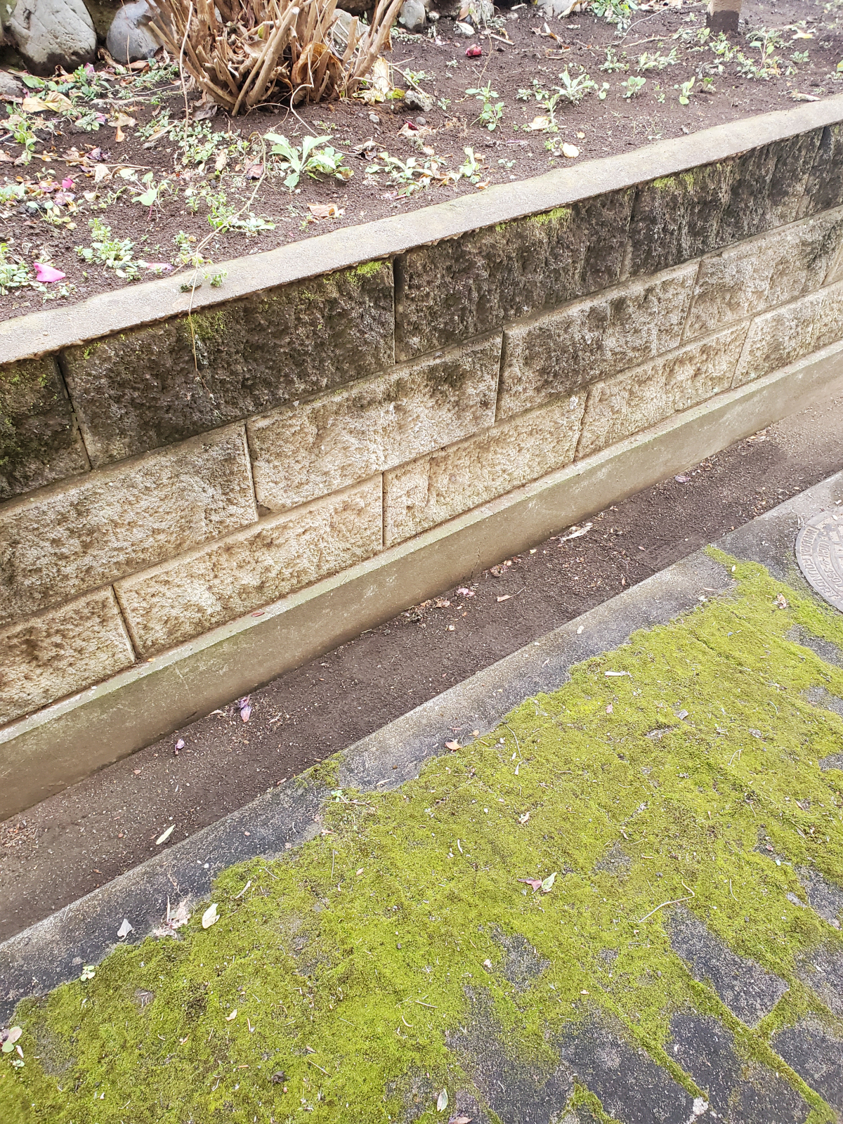 埼玉県熊谷市の何でもわがまま定額サービスの作業後1