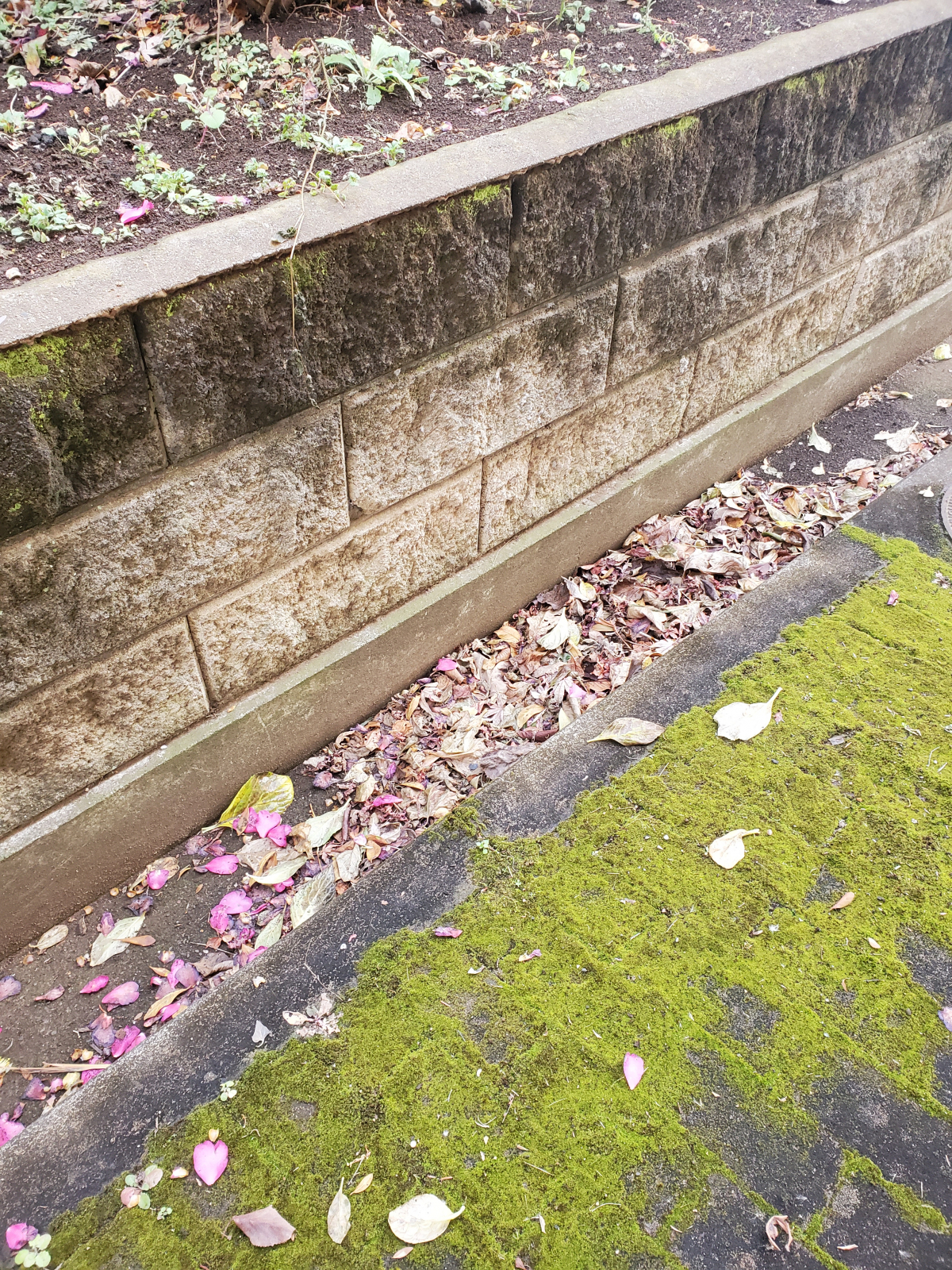 埼玉県熊谷市の何でもわがまま定額サービスの作業前1