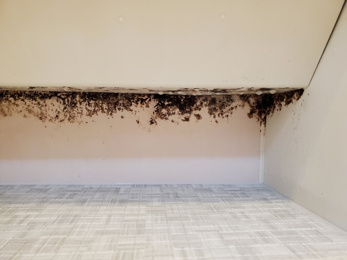 埼玉県熊谷市の浴室・お風呂クリーニングの作業前1