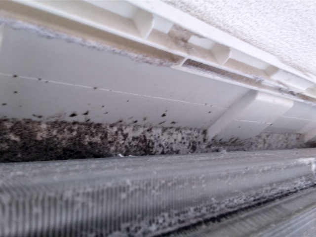 福島県いわき市の賃貸住宅退去後の原状回復クリーニングの作業前3