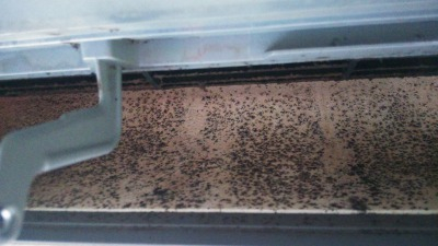 福島県いわき市のお掃除機能付きエアコンの作業前1