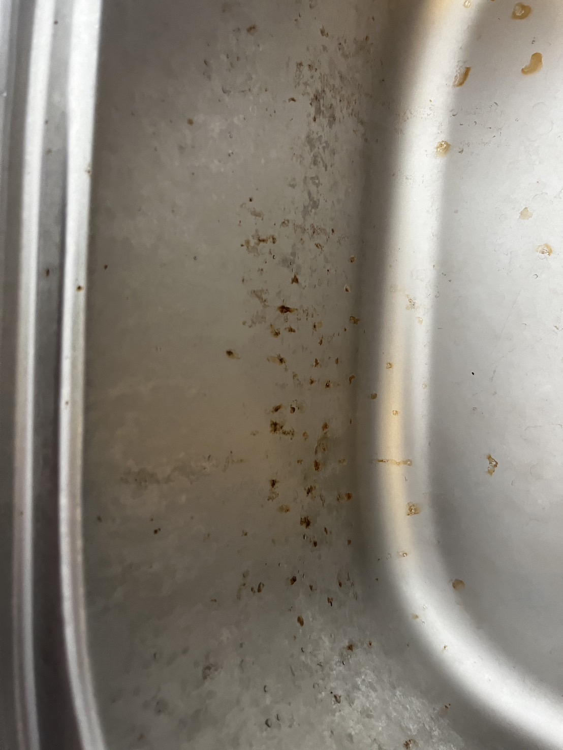 愛知県名古屋市天白区の賃貸住宅入居前の簡易クリーニングの作業前3