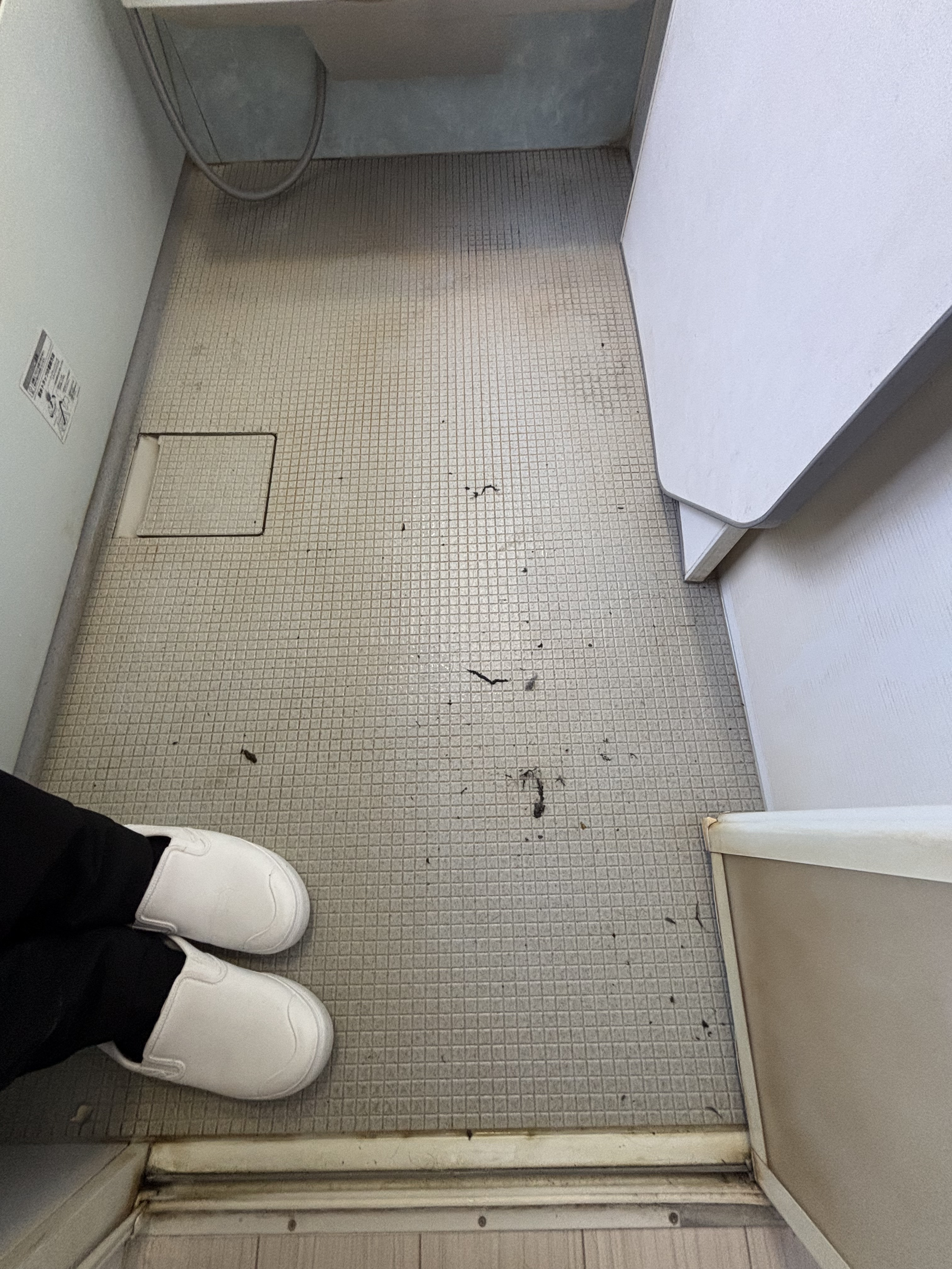 埼玉県さいたま市緑区上野田の浴室・お風呂クリーニングの作業前3