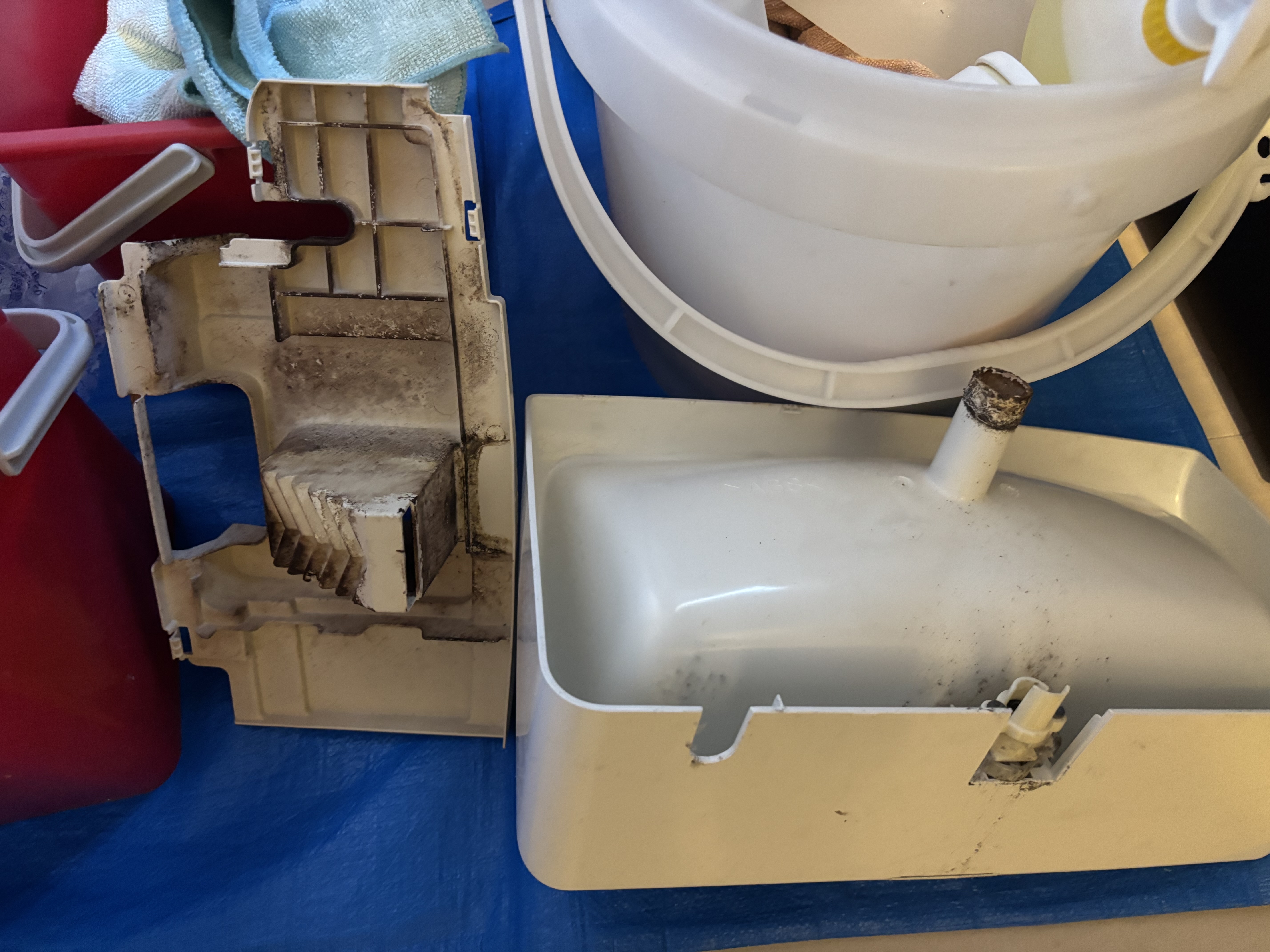 埼玉県越谷市のトイレクリーニングの作業前2