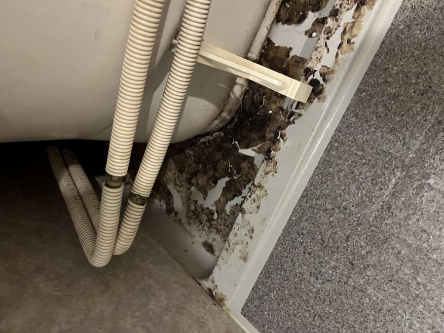 東京都江戸川区船堀のの作業前1