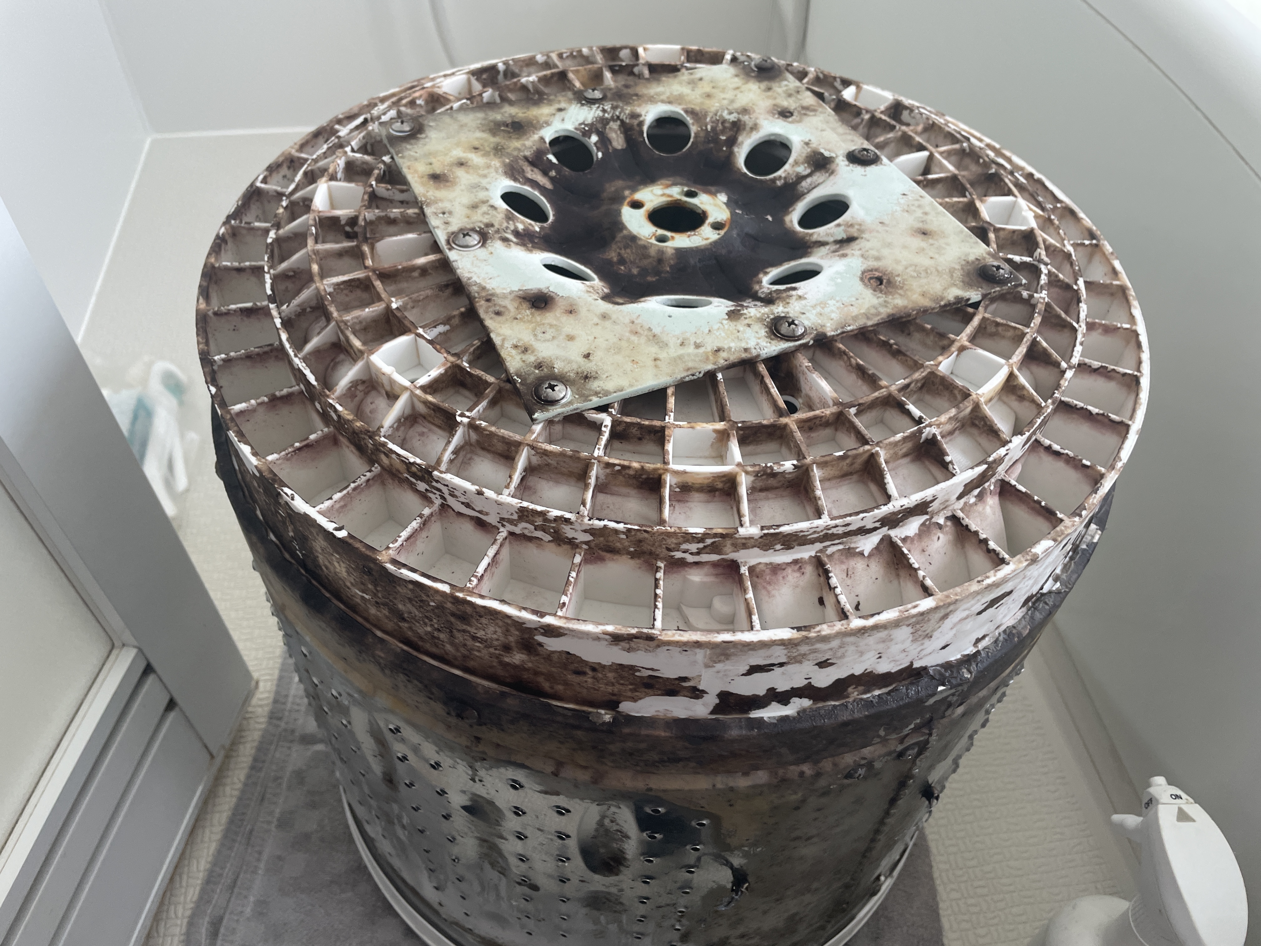 神奈川県横浜市青葉区の洗濯機分解クリーニングの作業前1