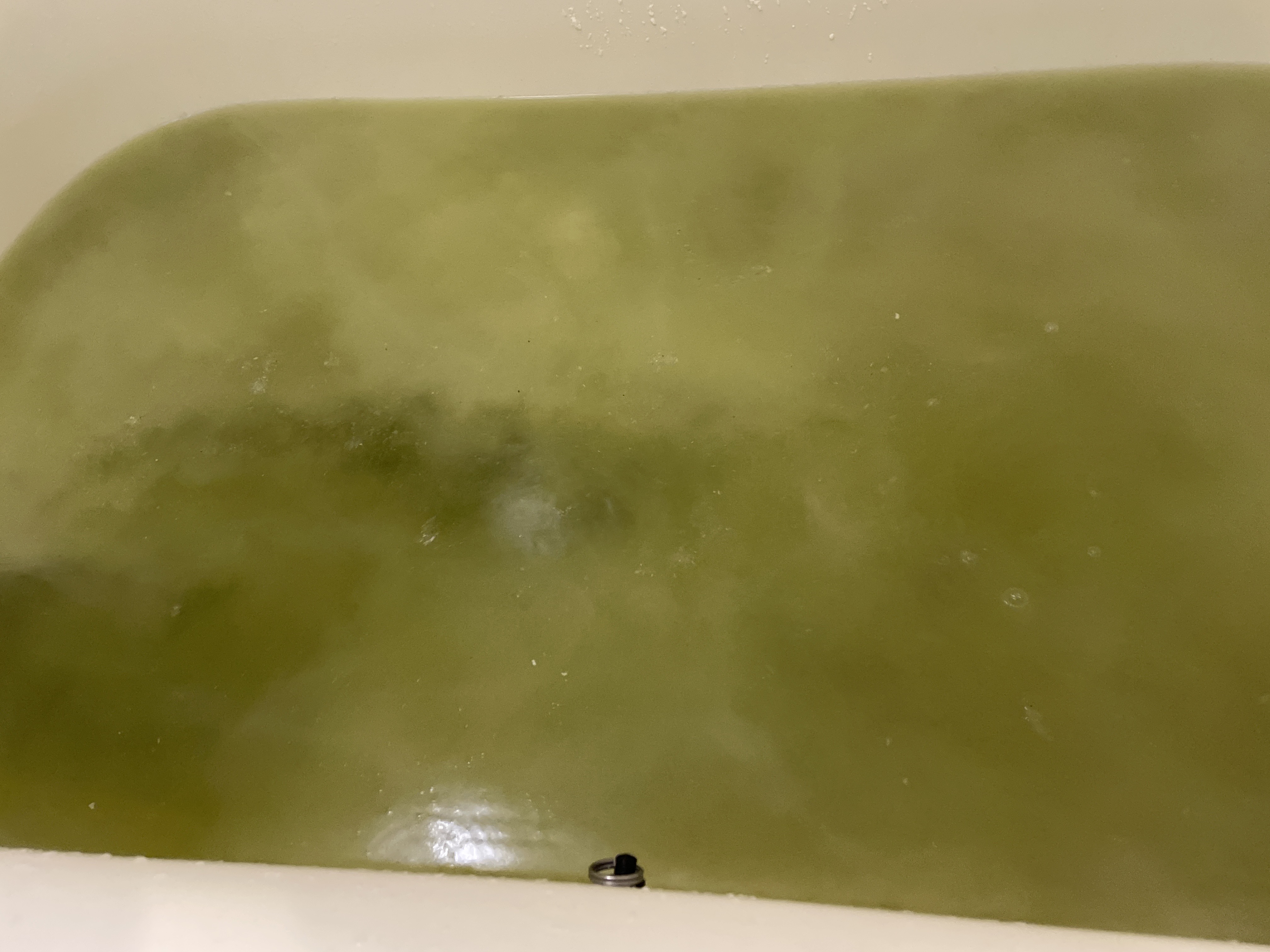 神奈川県横浜市青葉区の追い焚き配管除菌洗浄の作業後1