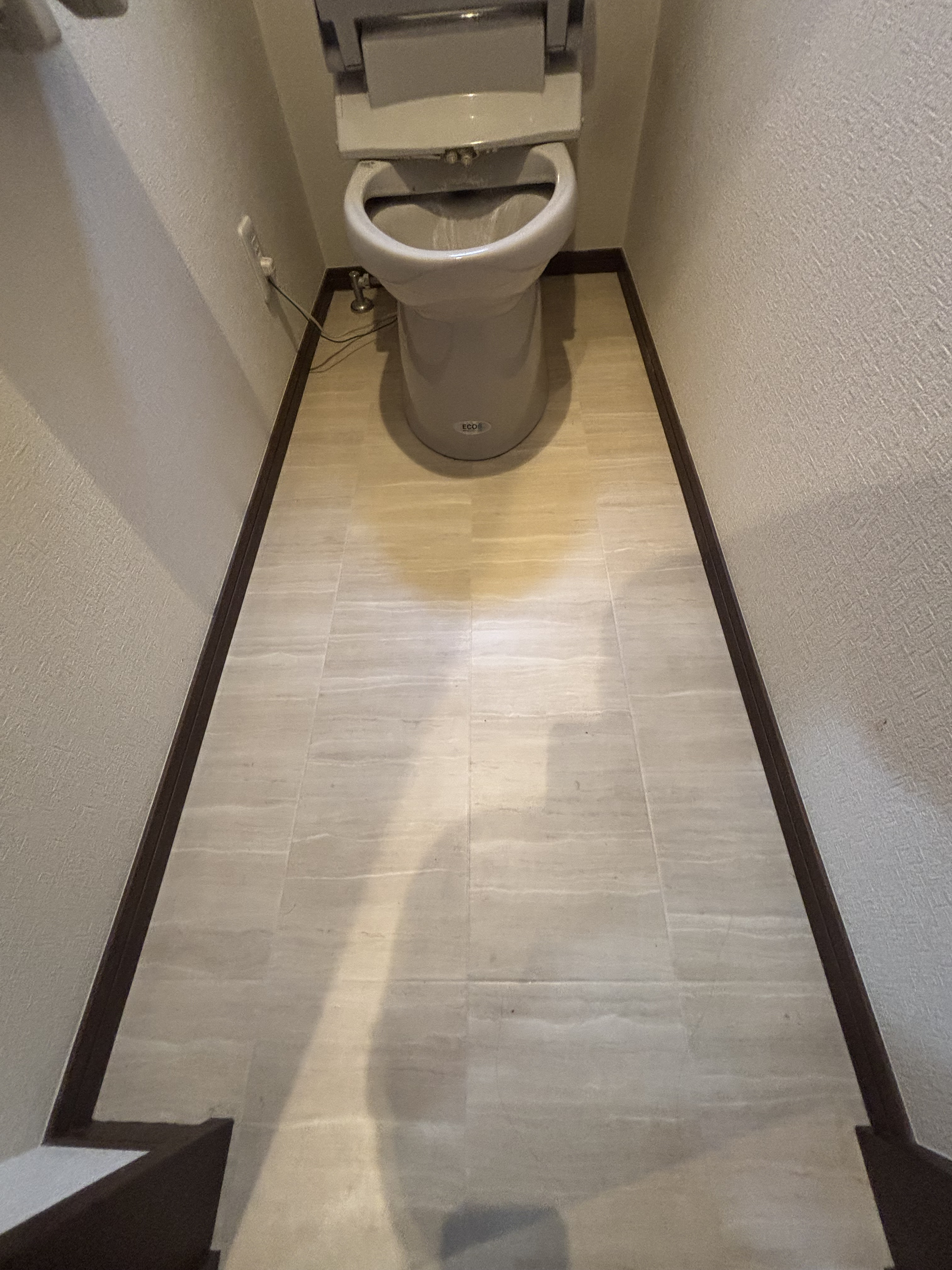 埼玉県さいたま市北区のトイレクリーニングの作業前3