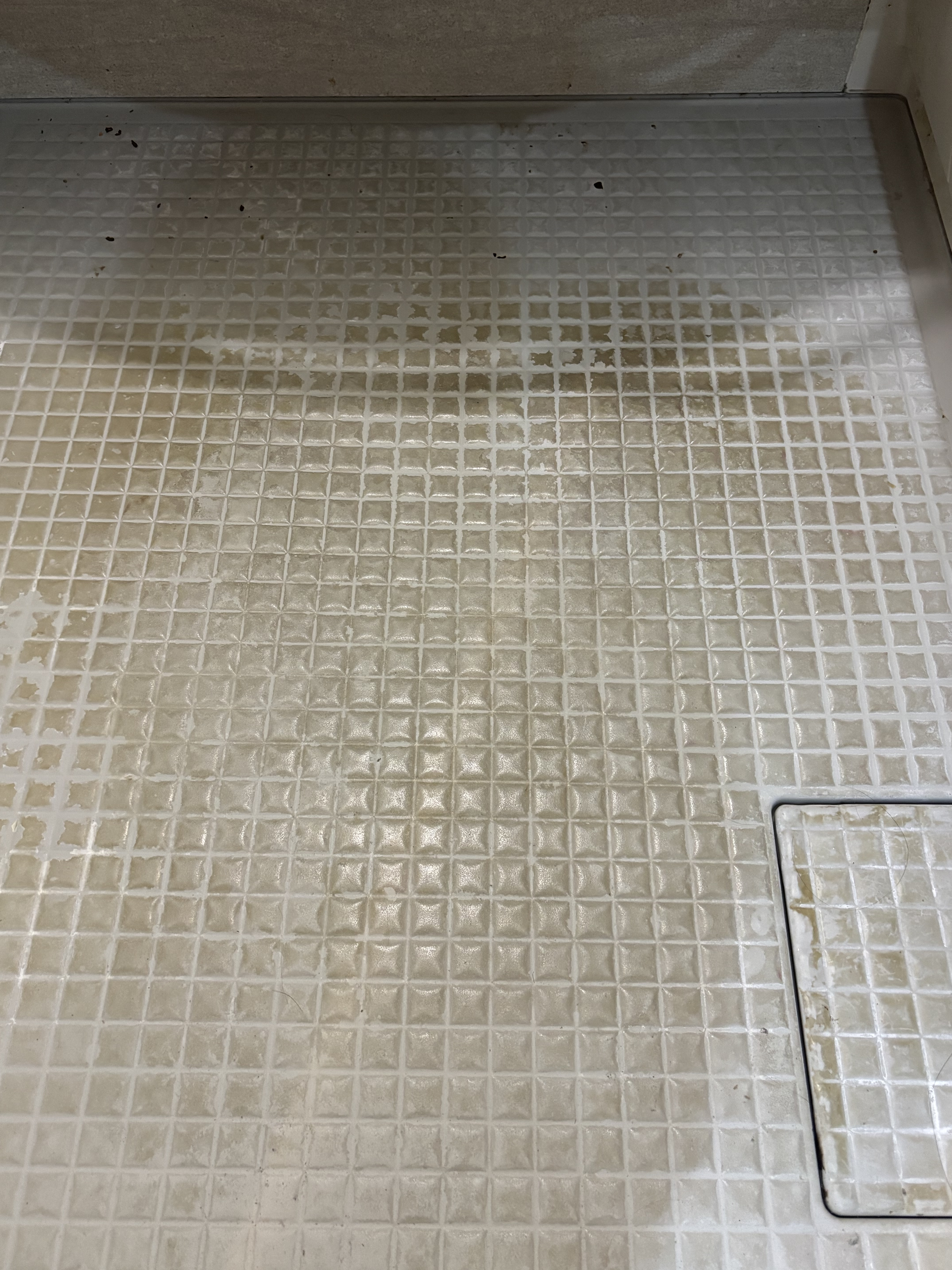 埼玉県さいたま市北区の浴室・お風呂クリーニングの作業前3