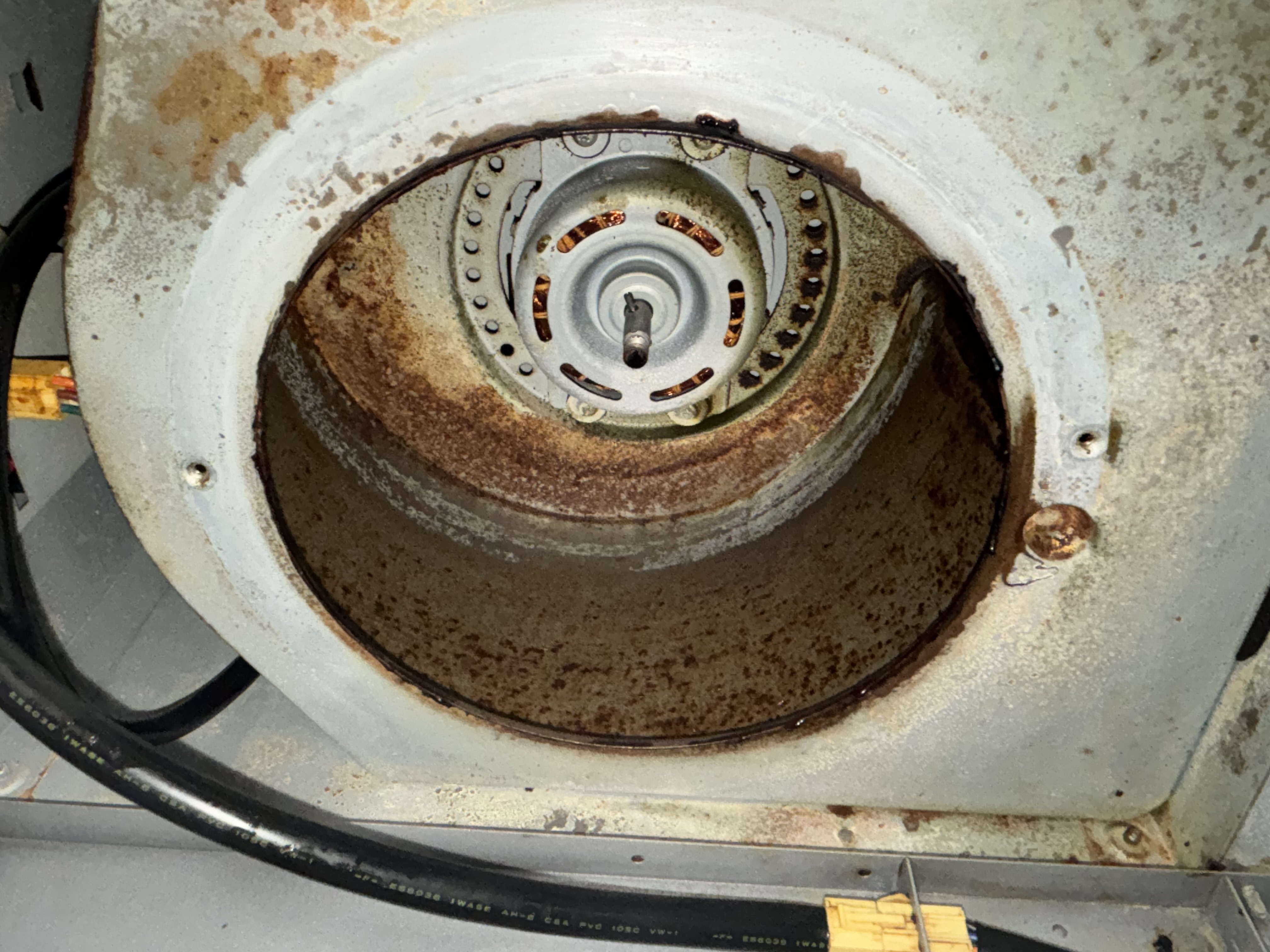 埼玉県白岡市のレンジフードクリーニングの作業前3