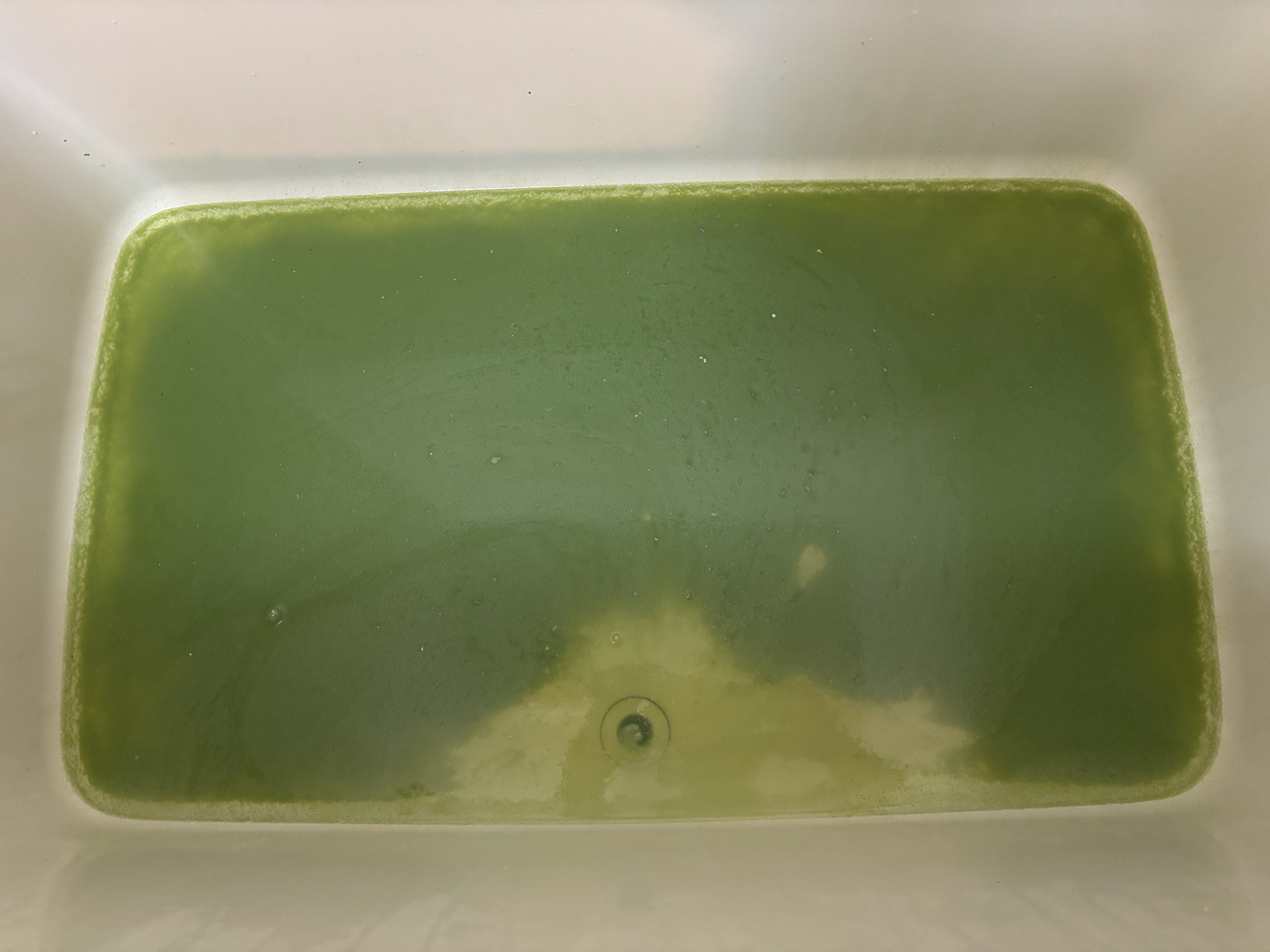 埼玉県ふじみ野市の追い焚き配管除菌洗浄の作業前2