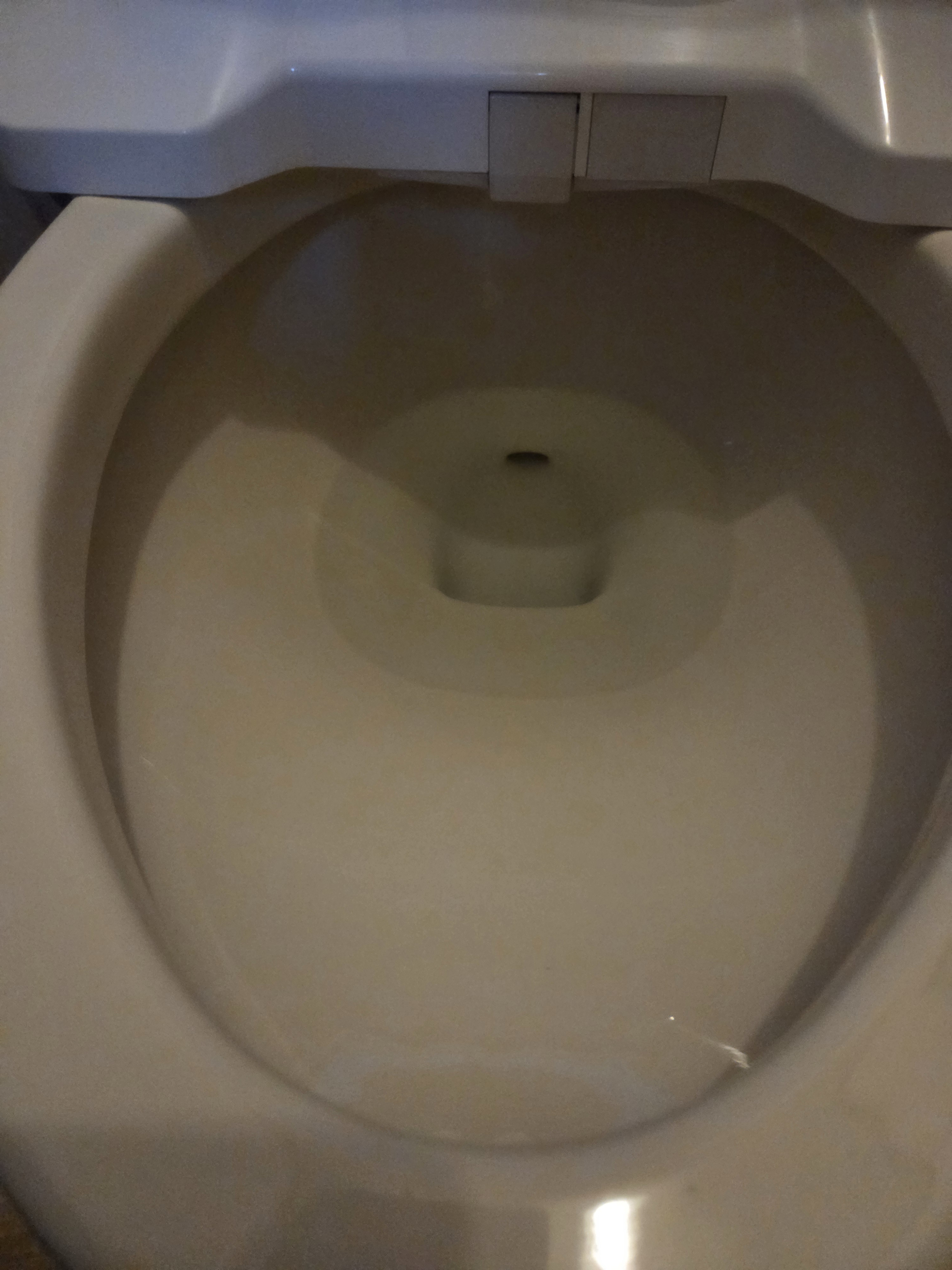 東京都世田谷区代沢のトイレクリーニングの作業後1