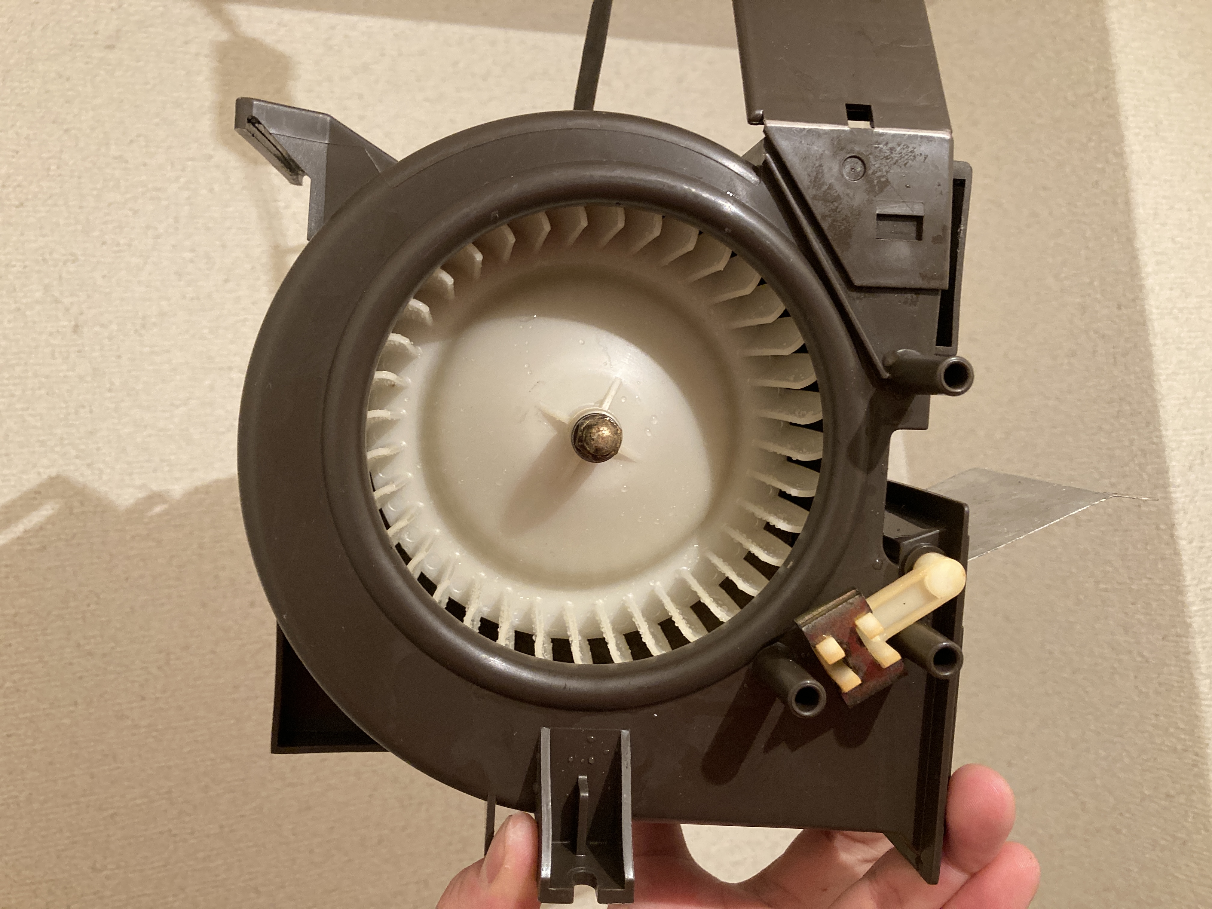 京都府京都市南区吉祥院石原町の浴室・お風呂クリーニングの作業後2