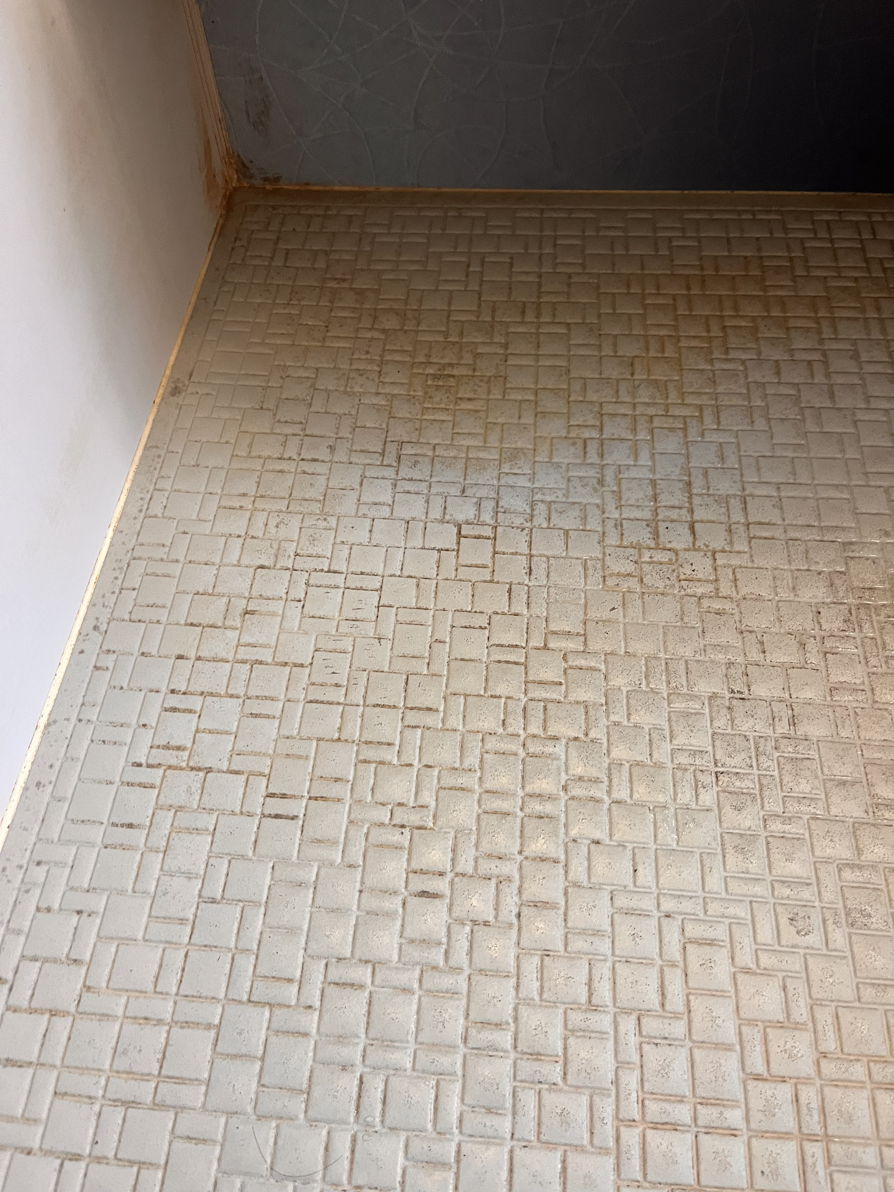 埼玉県狭山市の浴室・お風呂クリーニングの作業前2