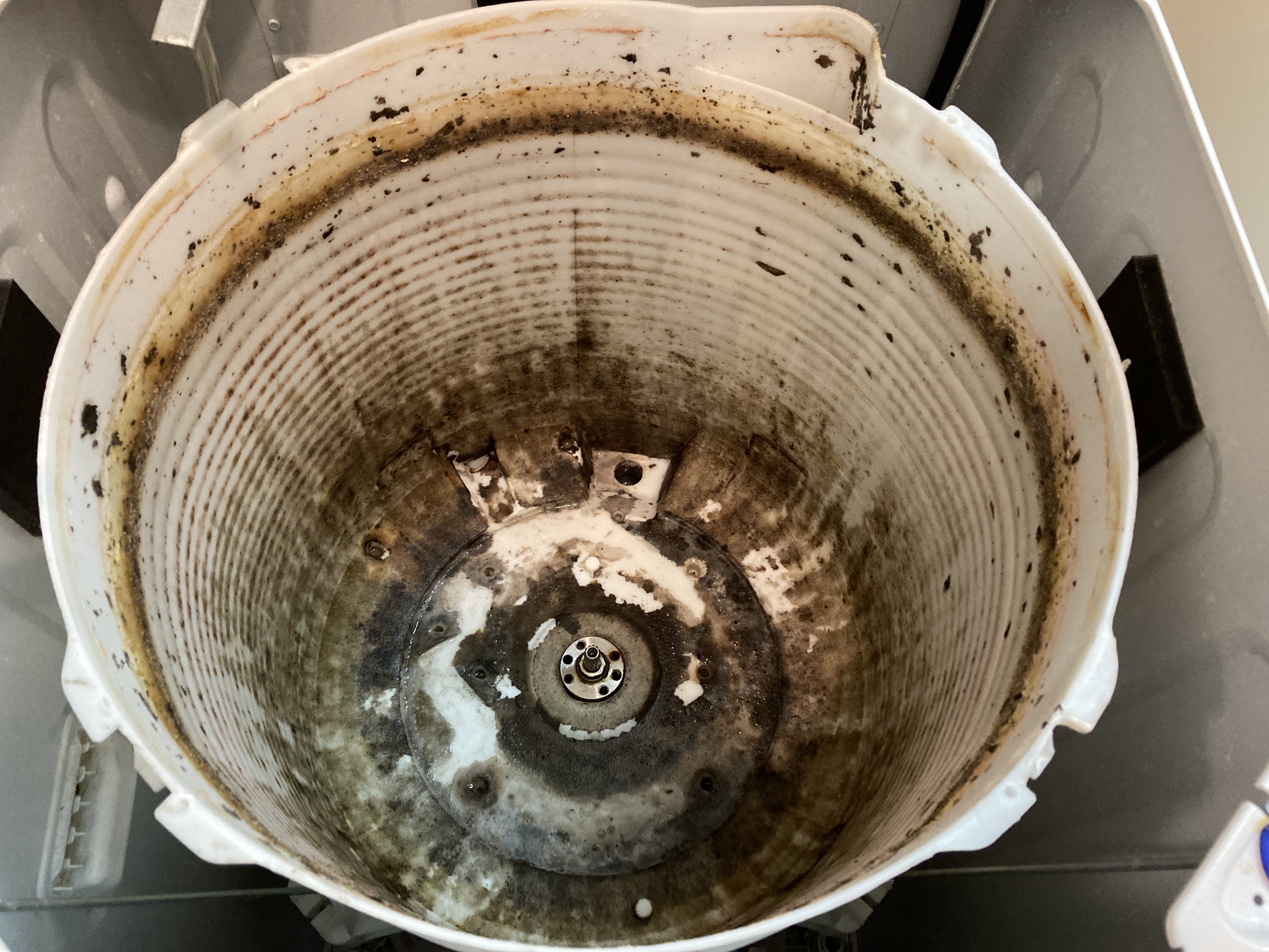 京都府京都市南区上鳥羽大柳町の洗濯機分解クリーニングの作業前2