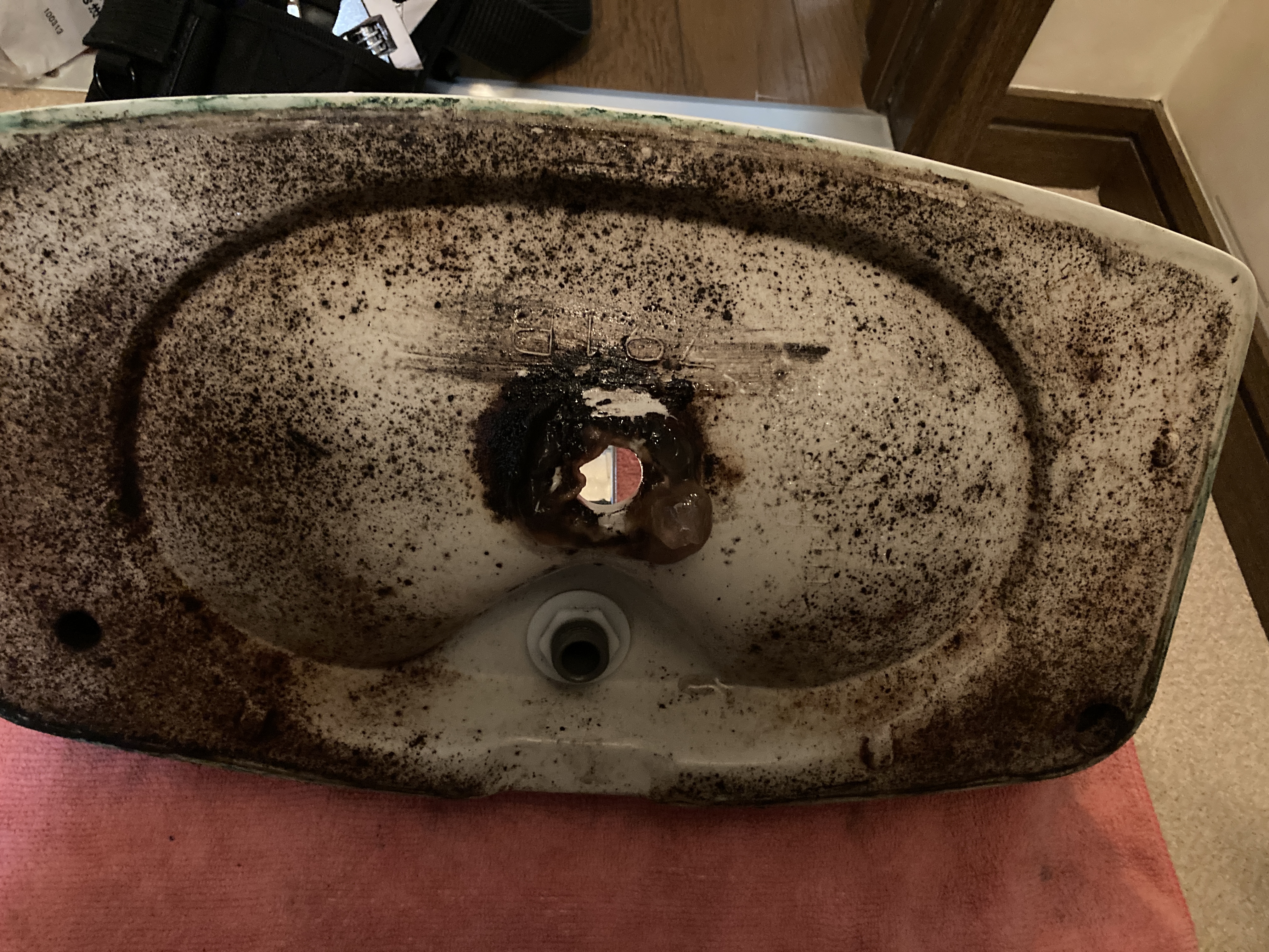 京都府京都市中京区西ノ京中御門東町のトイレクリーニングの作業前2