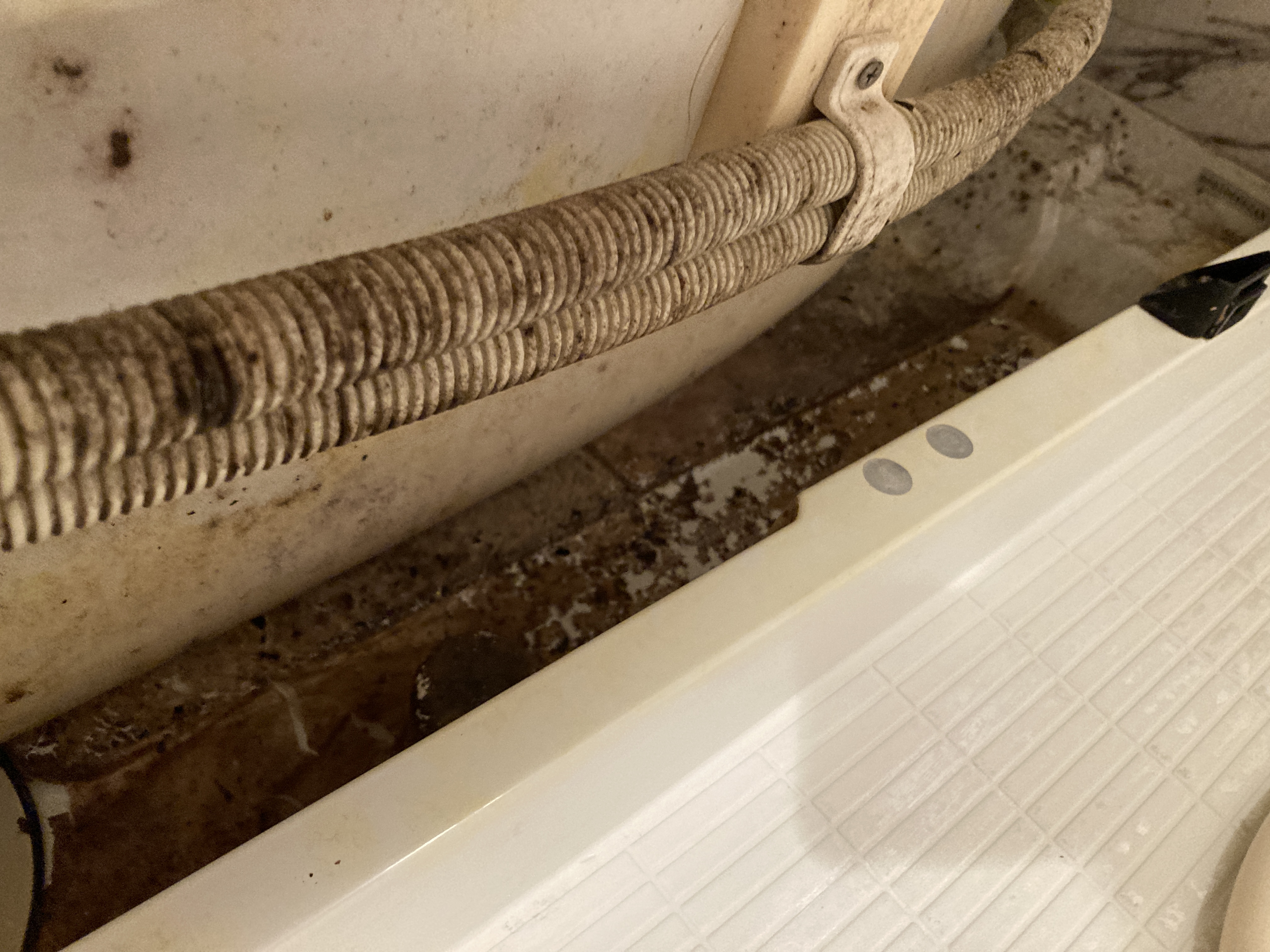 京都府京都市右京区太秦下角田町の浴室・お風呂クリーニングの作業前2