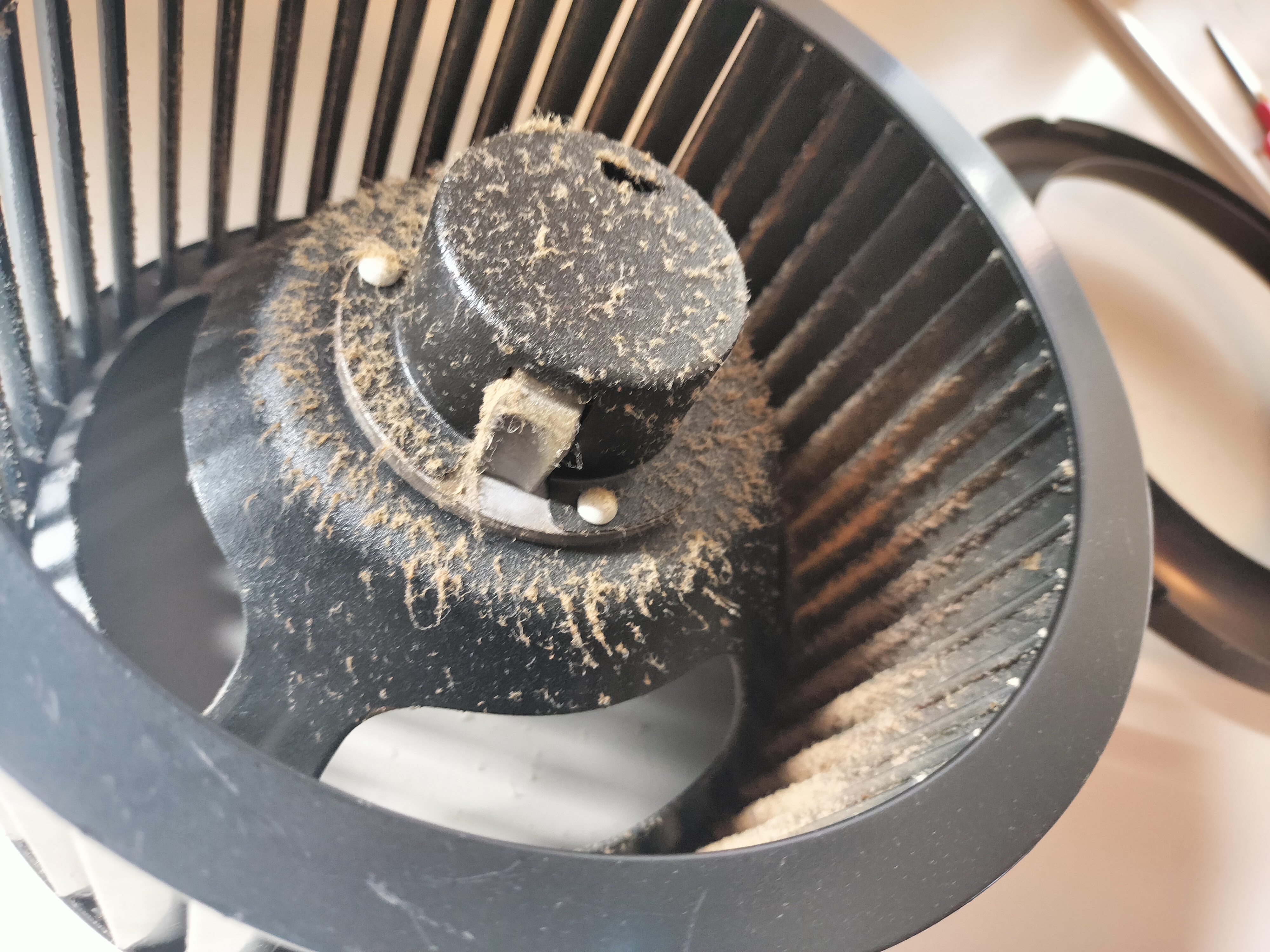 茨城県つくば市の一般家庭向け定期清掃サービスの作業前3