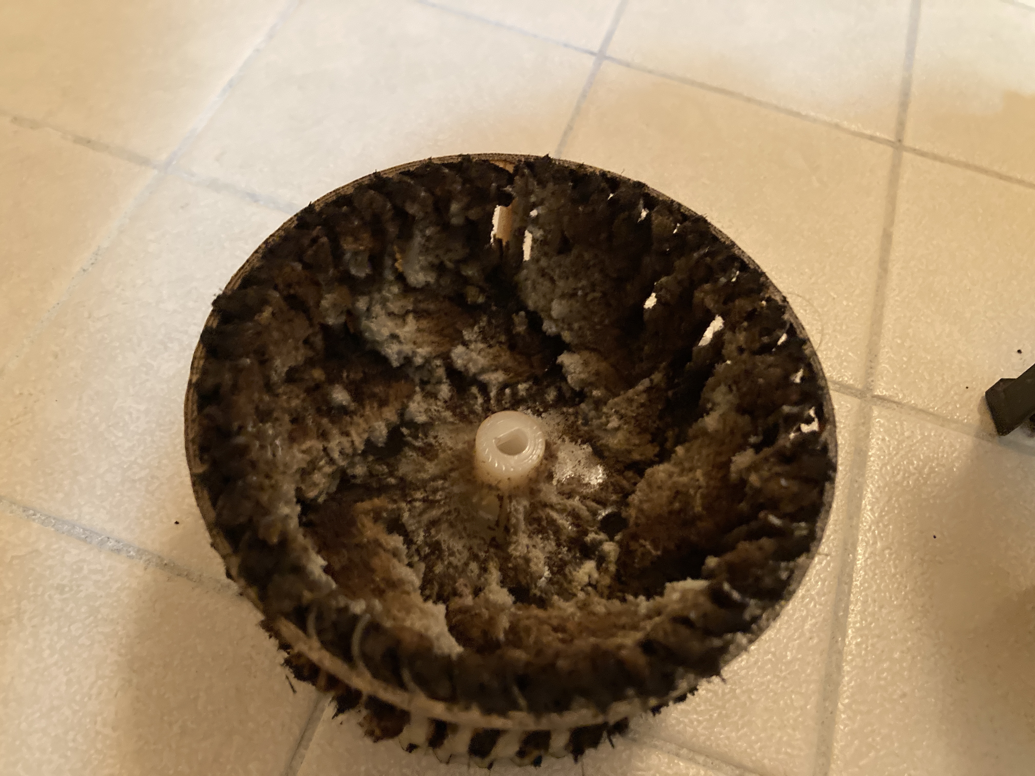 京都府亀岡市大井町並河のトイレクリーニングの作業前2