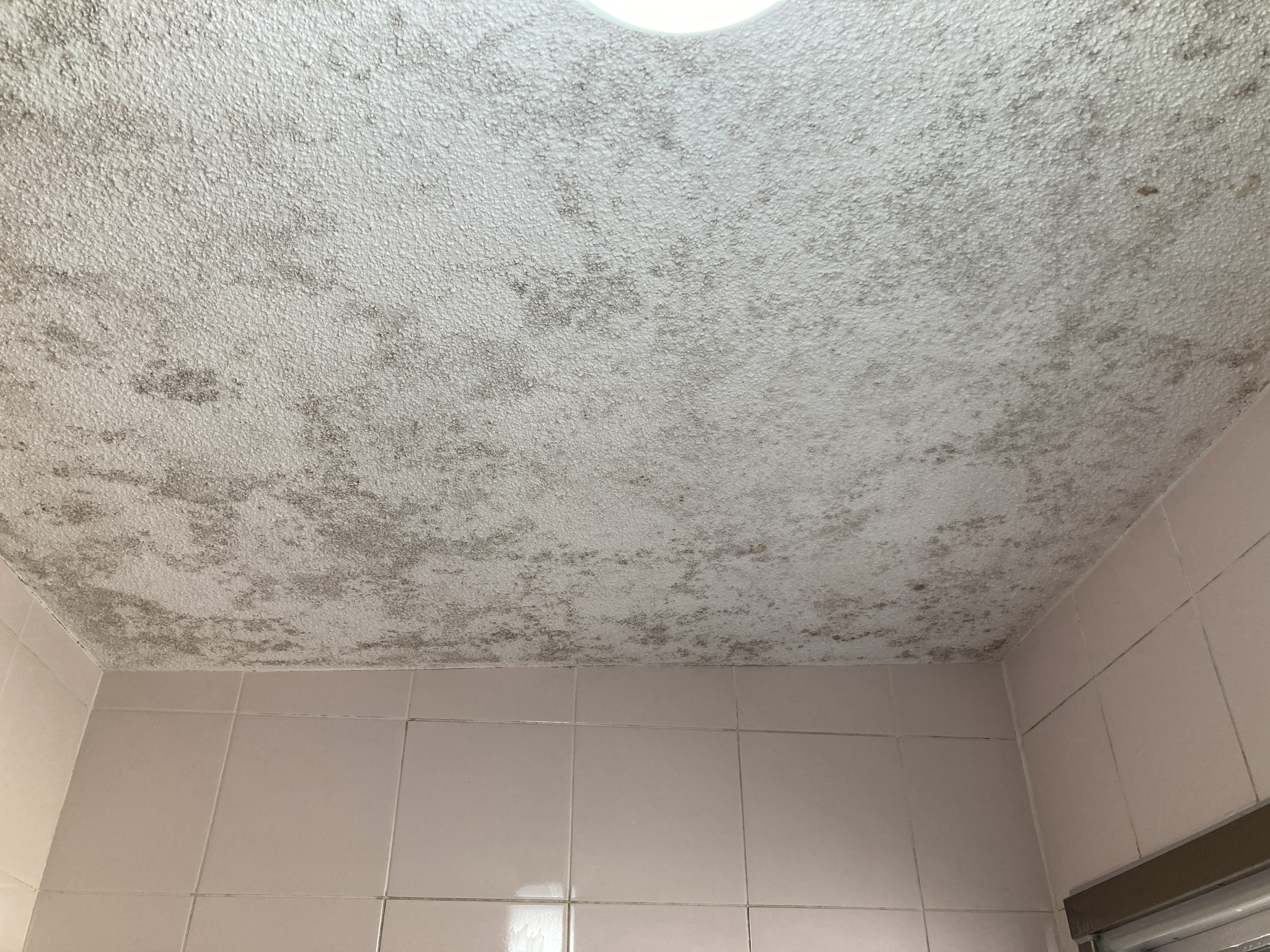 京都府長岡京市一里塚の浴室・お風呂クリーニングの作業前1