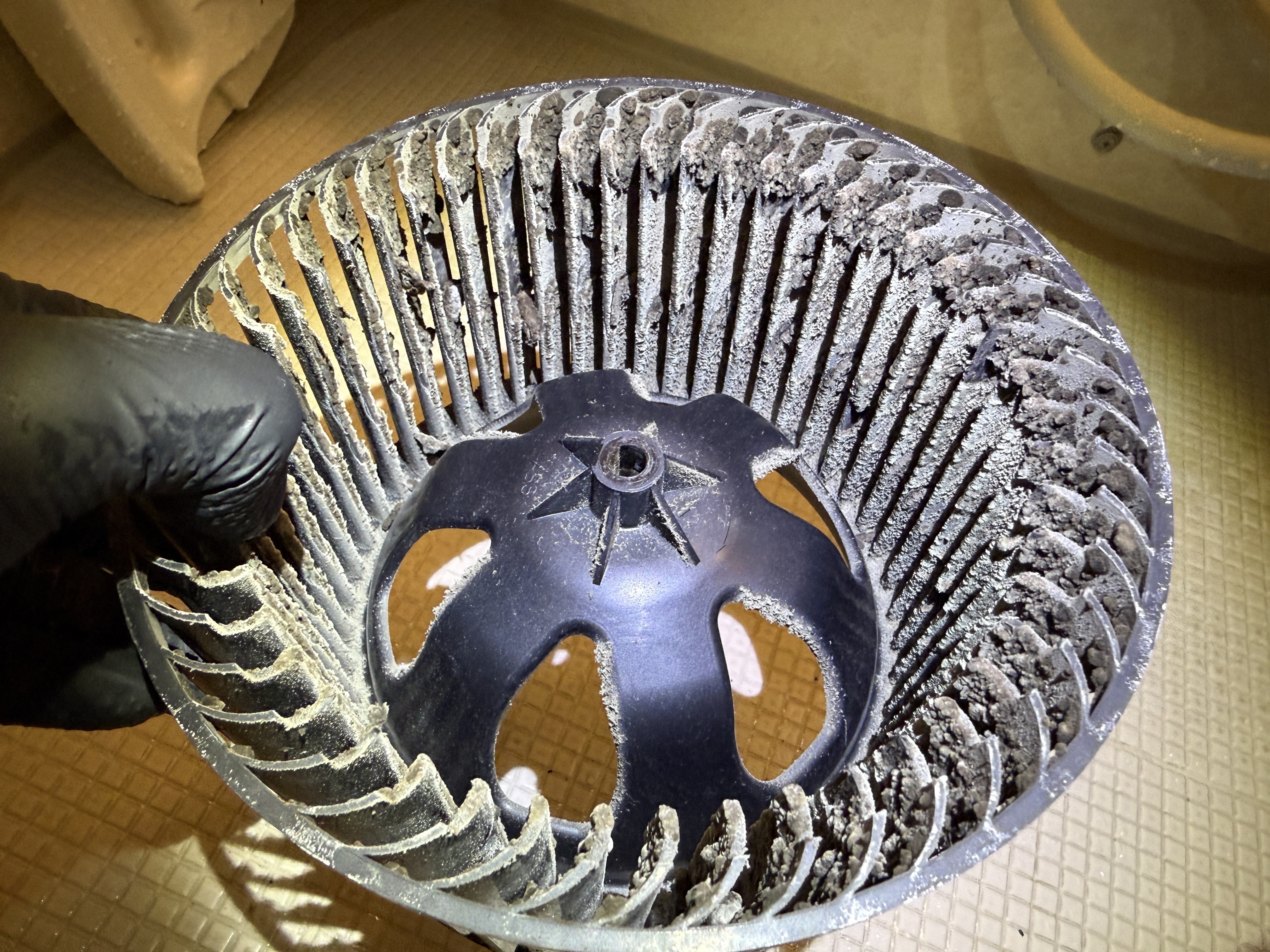 東京都荒川区の浴室乾燥機クリーニングの作業前2