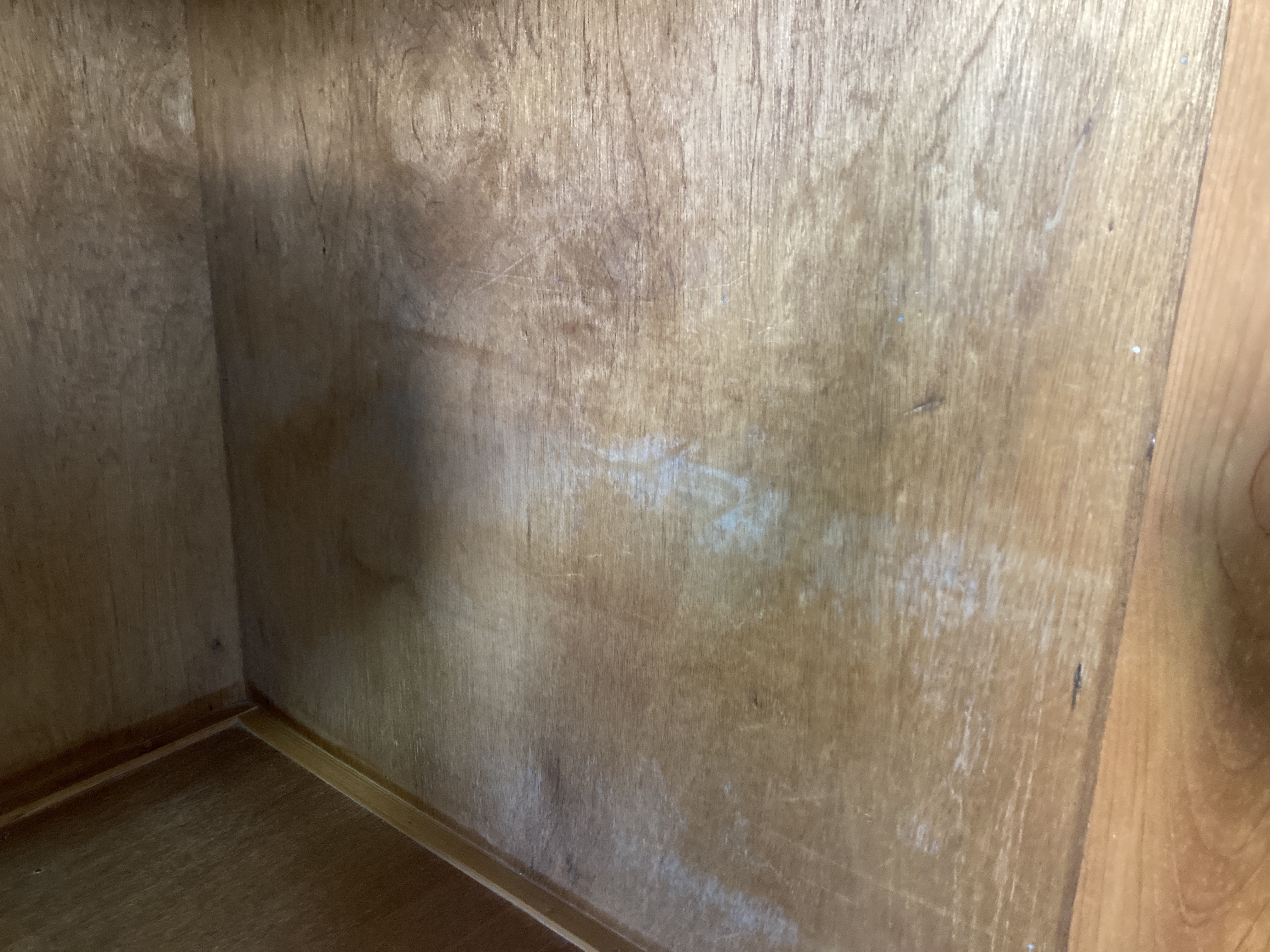 京都府京都市左京区吉田近衛町の何でもわがまま定額サービスの作業前1