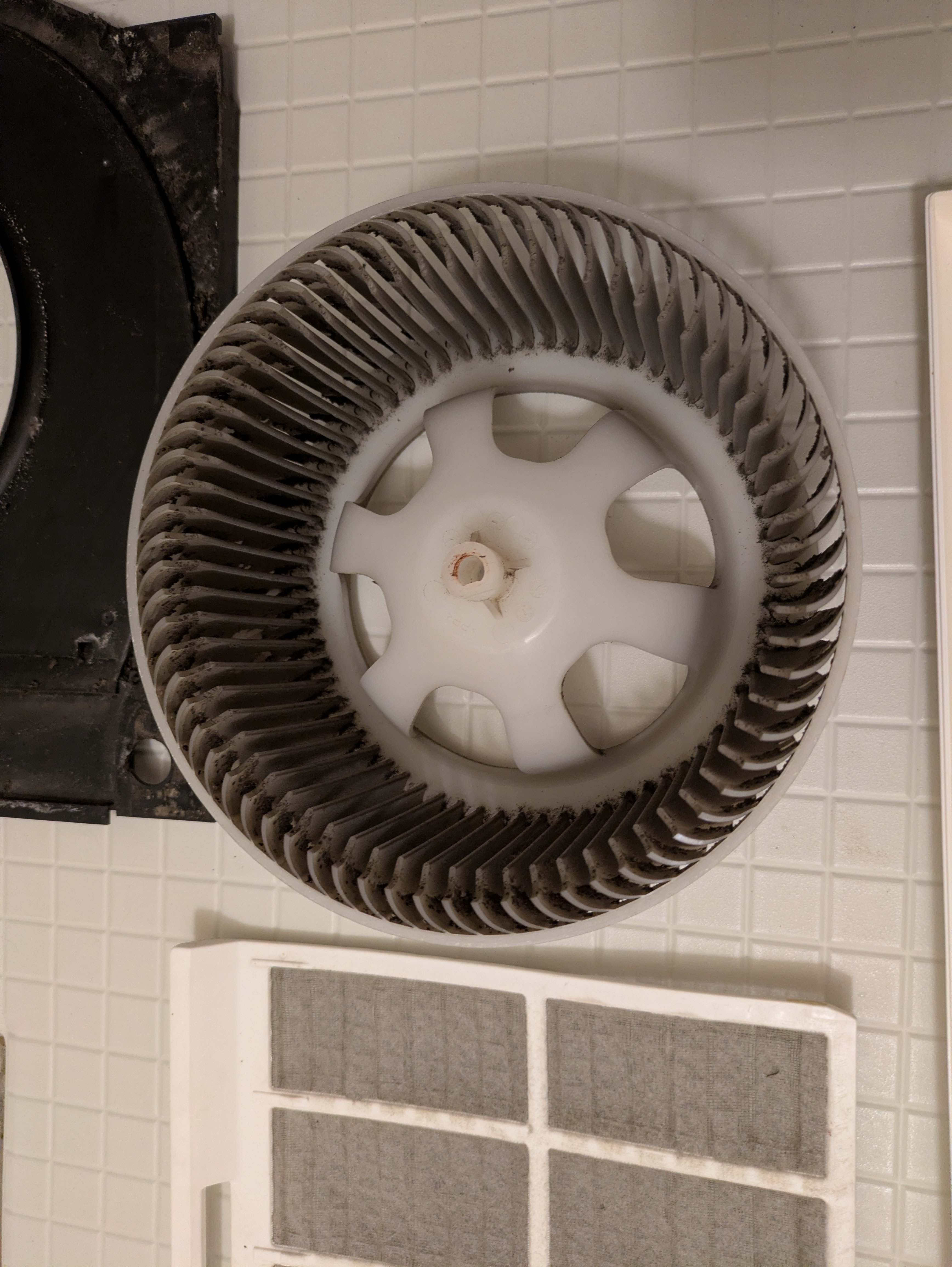 埼玉県さいたま市見沼区のの作業前2