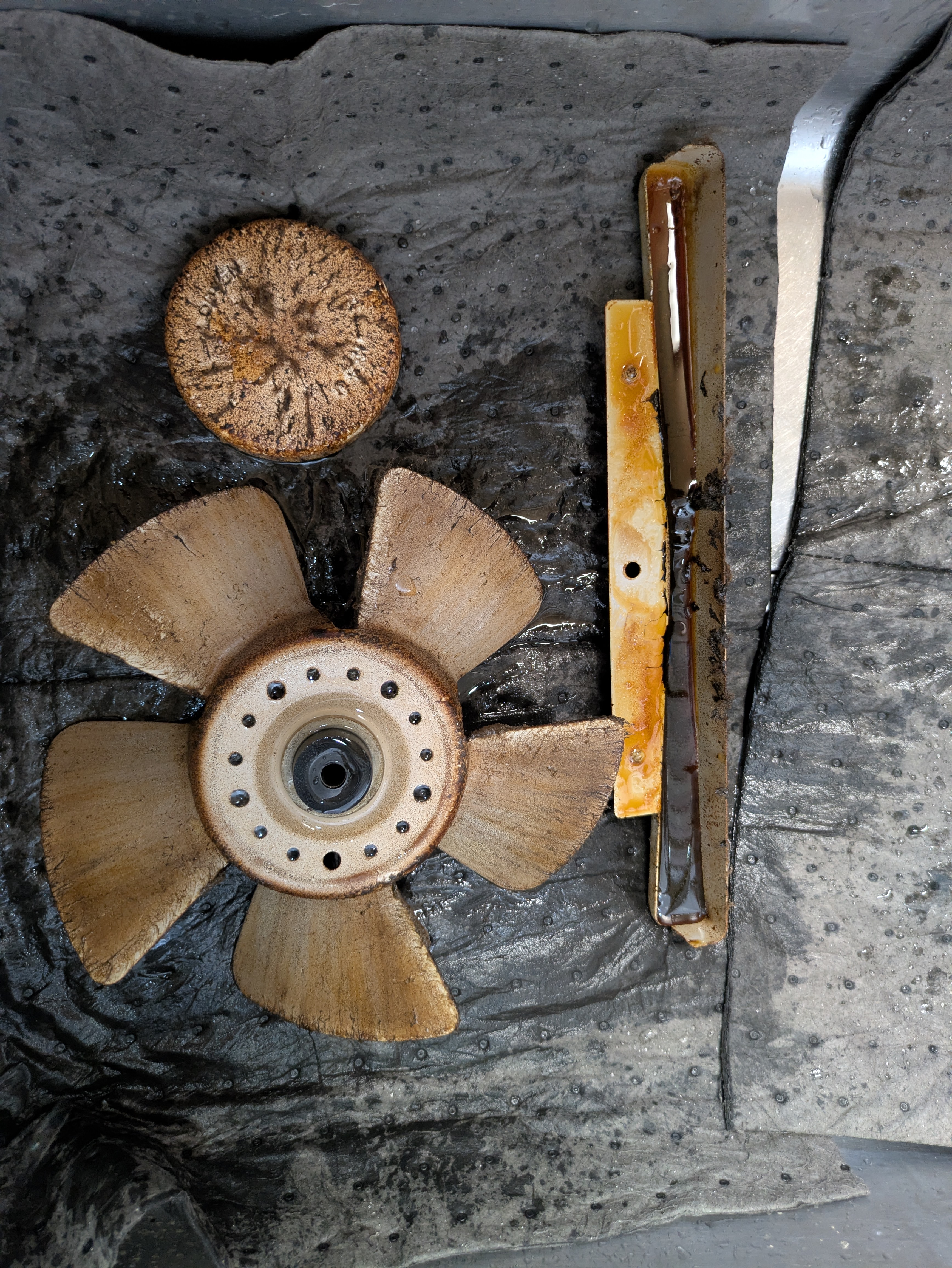 埼玉県さいたま市見沼区春野のの作業前1