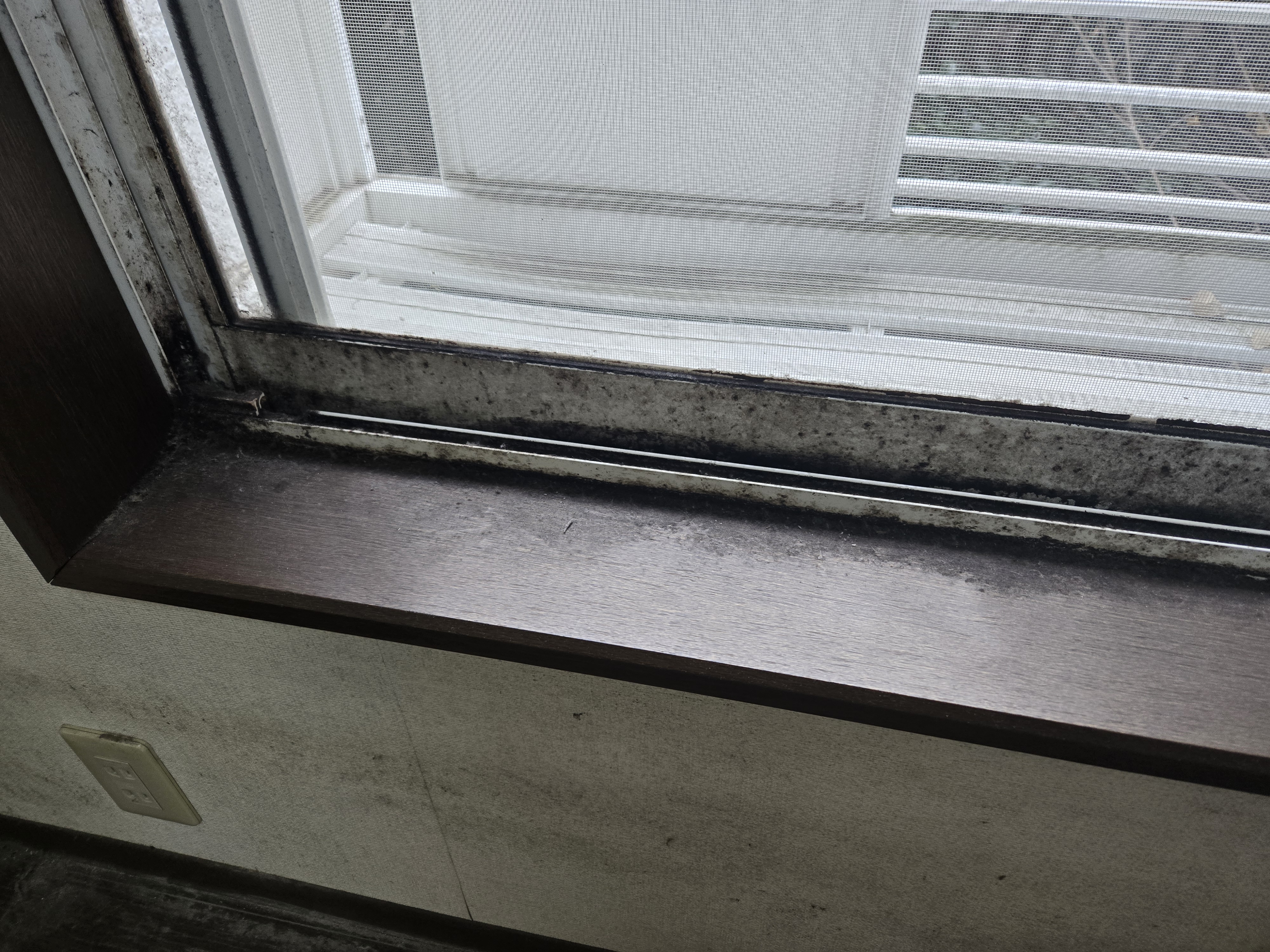 東京都新宿区の賃貸住宅退去後の原状回復クリーニングの作業前1