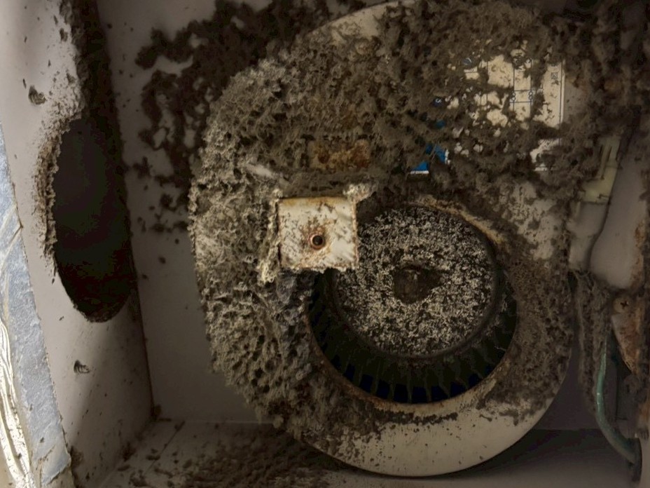 茨城県土浦市の浴室乾燥機クリーニングの作業前1