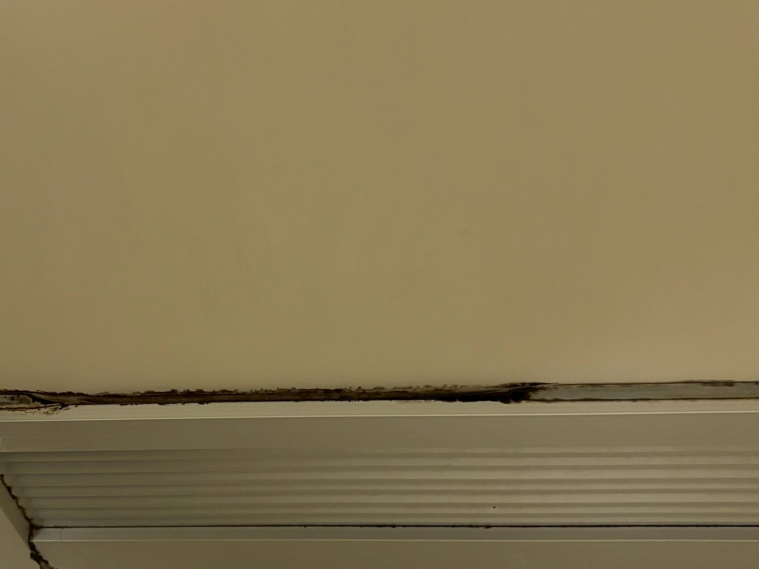 茨城県土浦市の浴室乾燥機クリーニングの作業前2