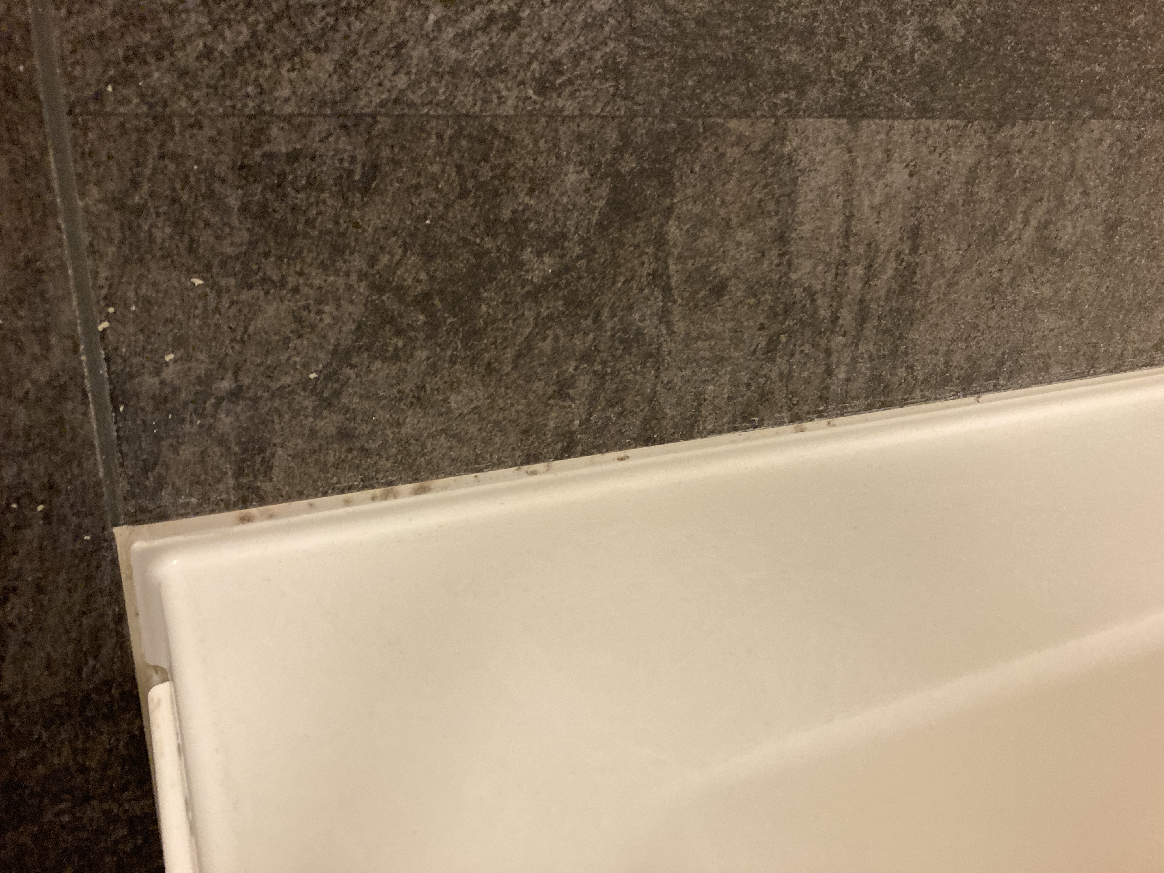 京都府向日市寺戸町寺田の浴室・お風呂クリーニングの作業前2