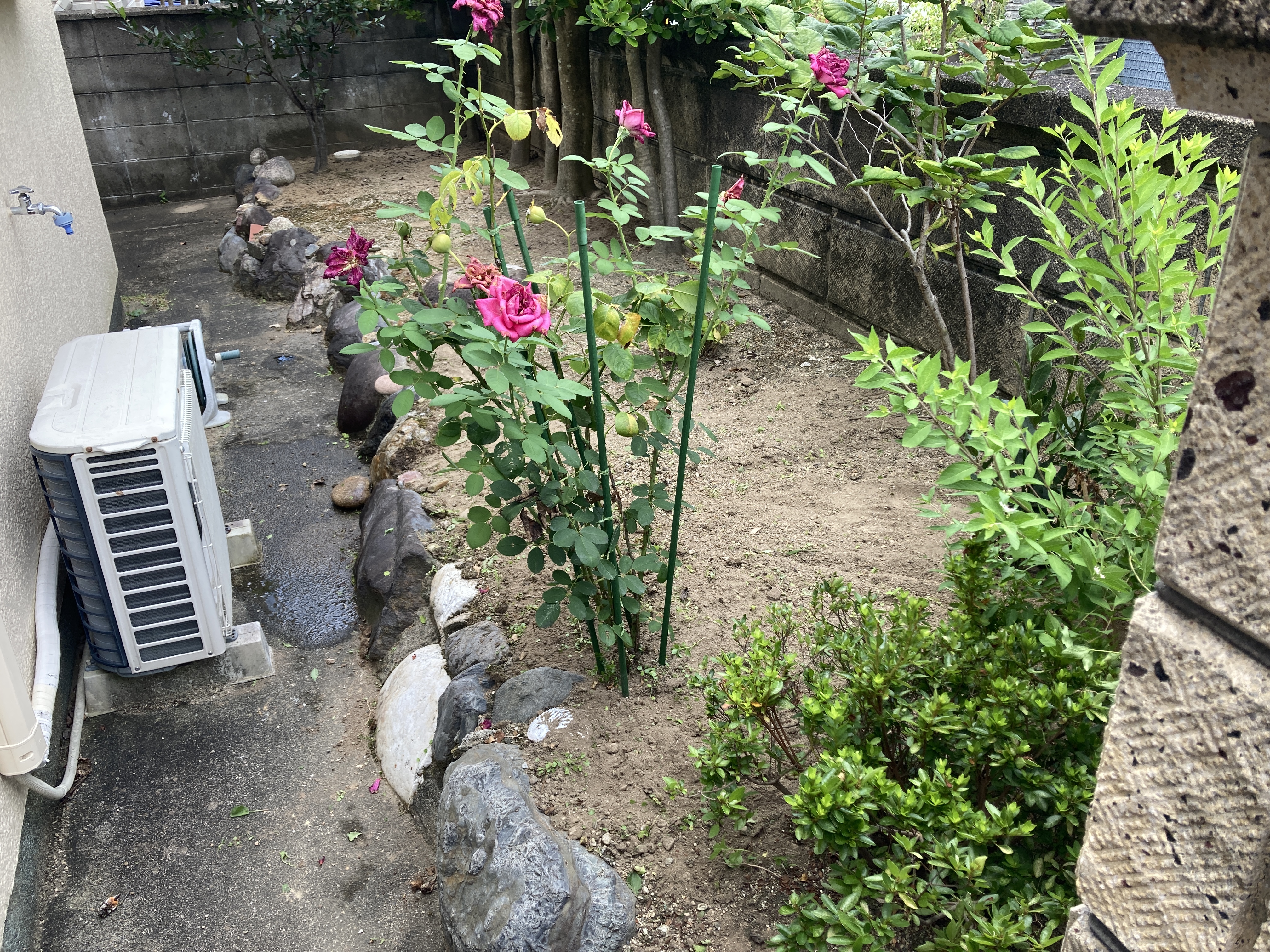 京都府京都市伏見区桃山町大島の何でもわがまま定額サービスの作業後1