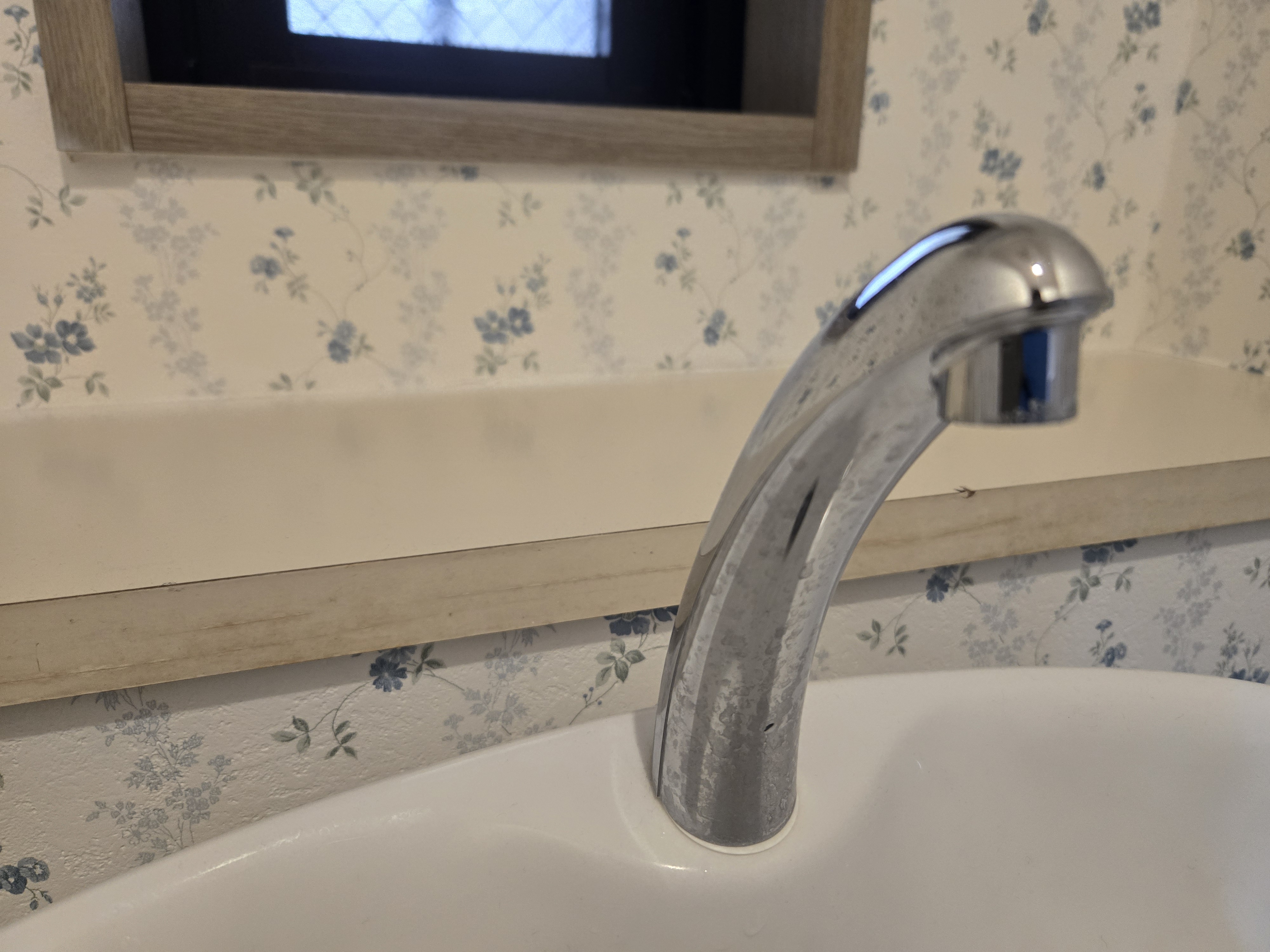 東京都小平市のトイレクリーニングの作業前1