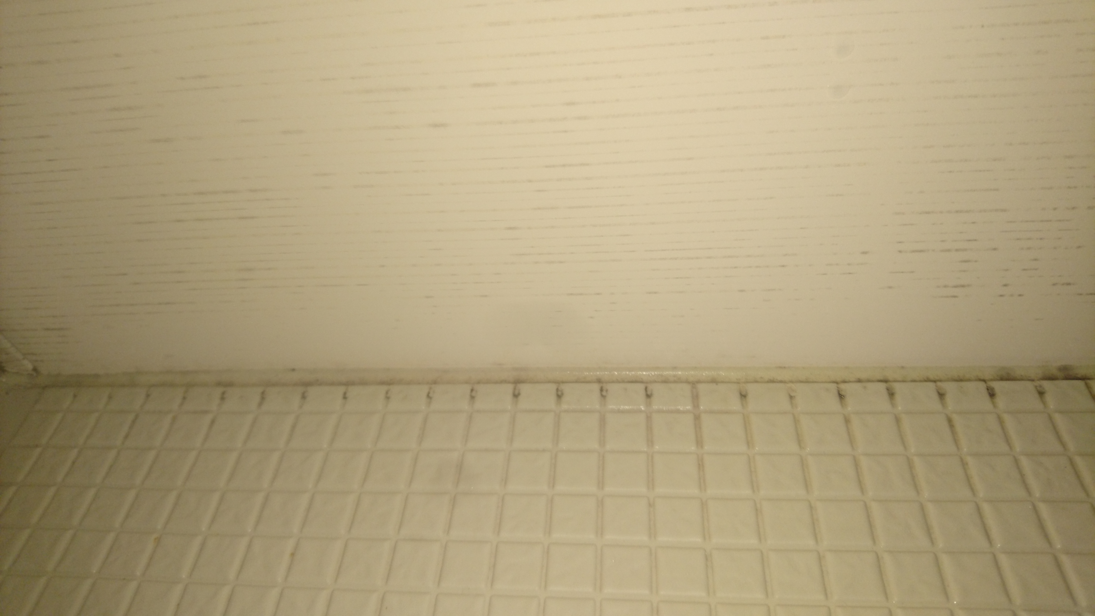 東京都東村山市の浴室・お風呂クリーニングの作業前3