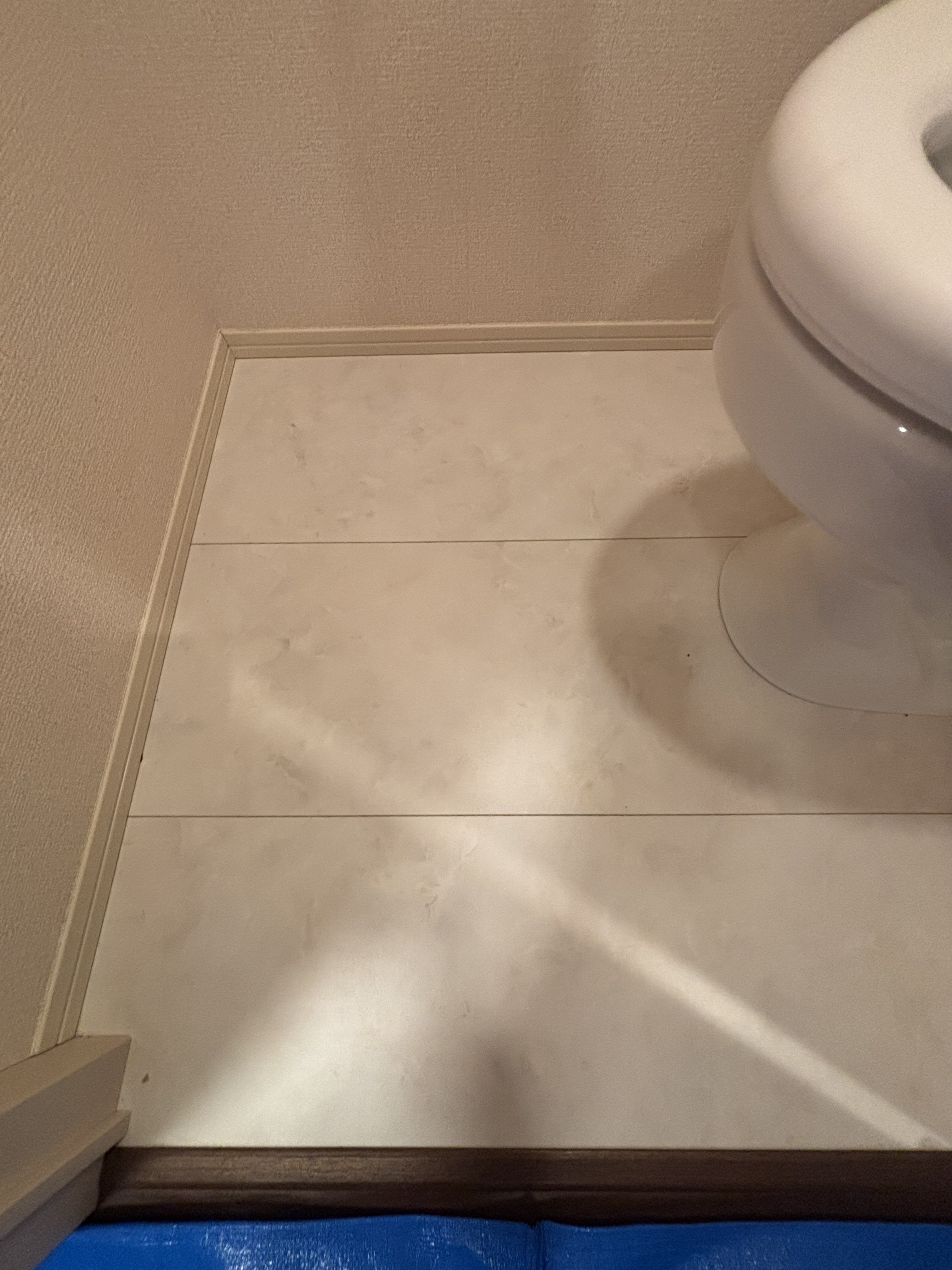 埼玉県桶川市のトイレクリーニングの作業前2