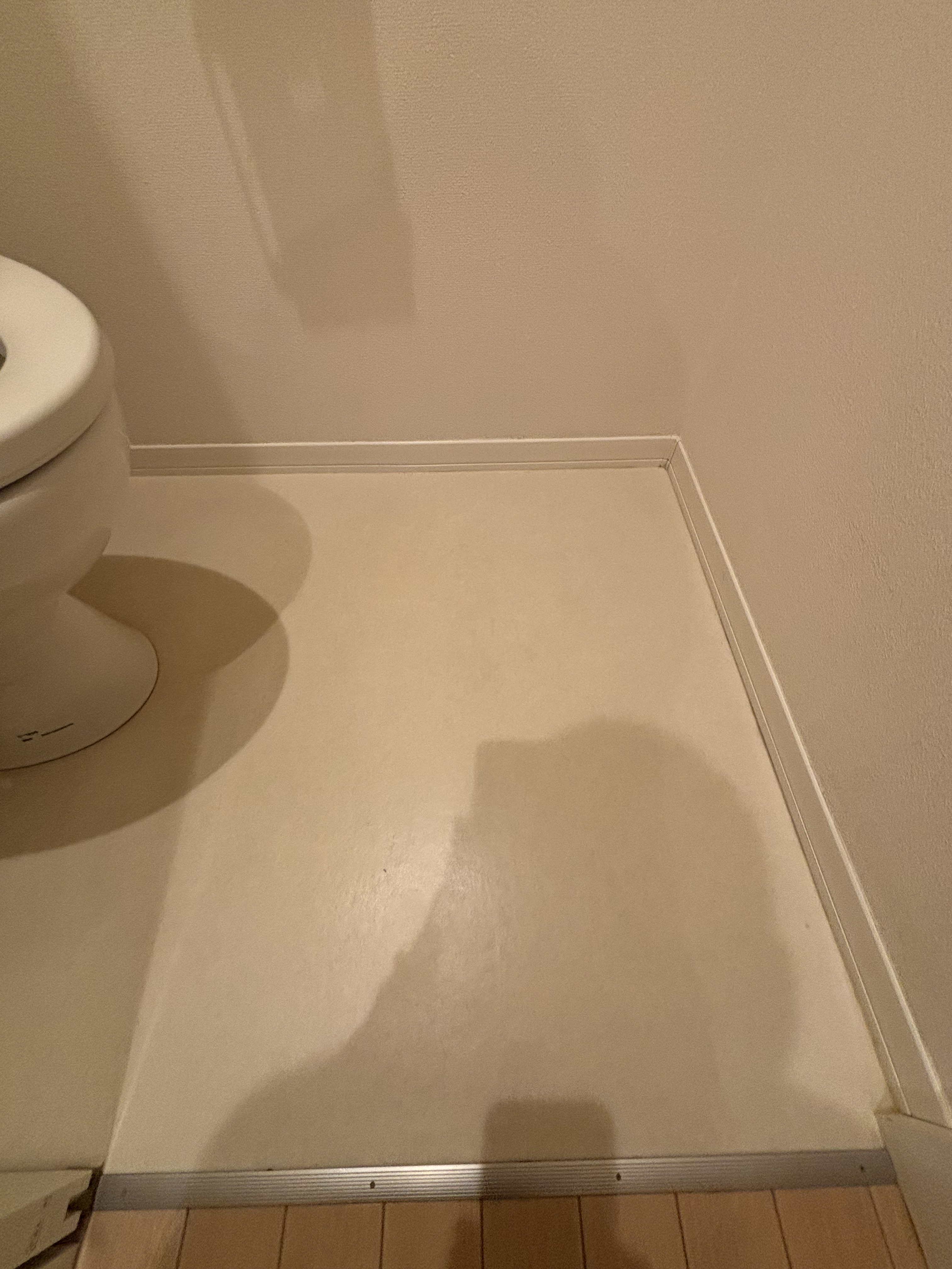 埼玉県さいたま市北区のトイレクリーニングの作業後2