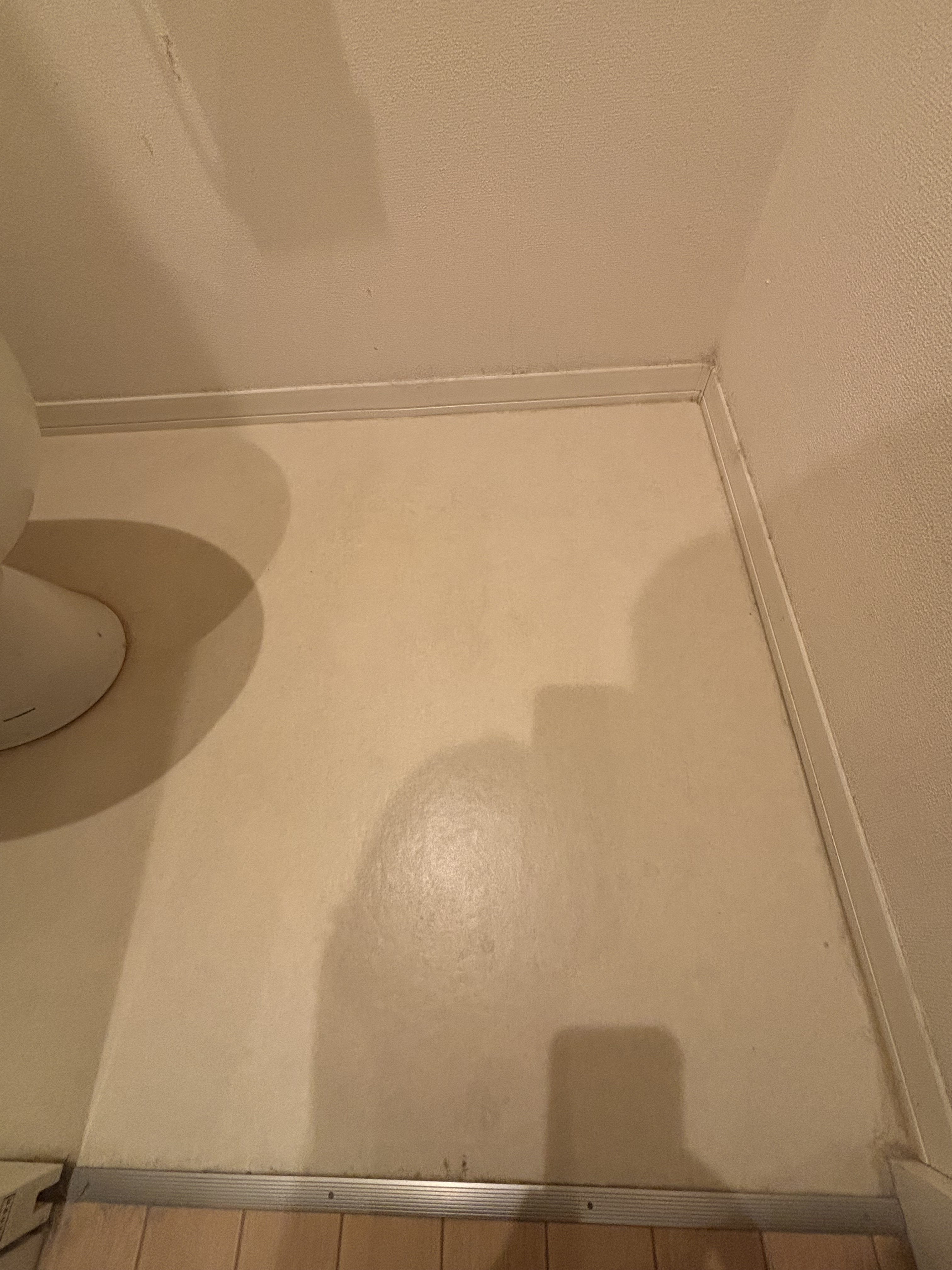 埼玉県さいたま市北区のトイレクリーニングの作業前2