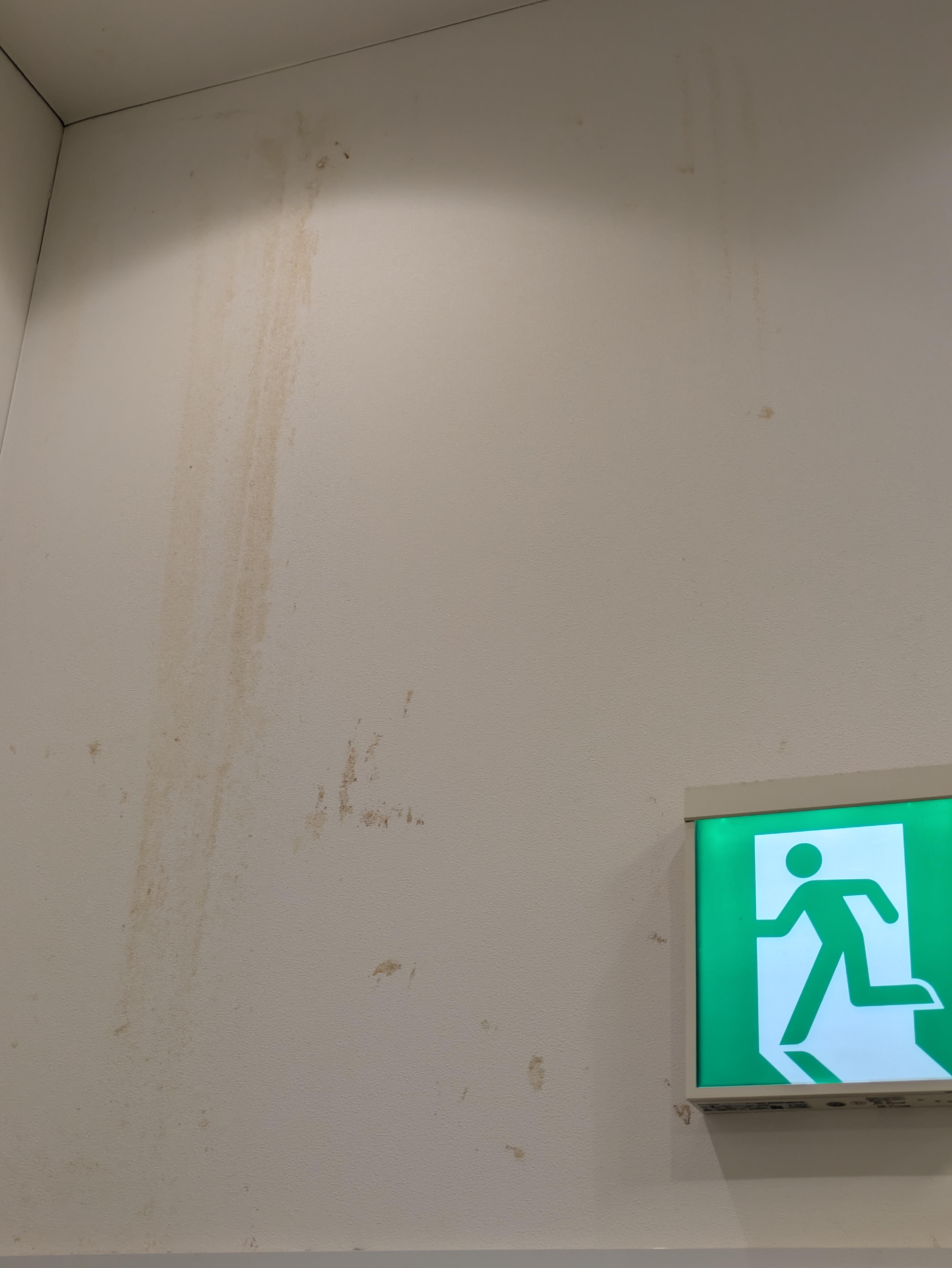 埼玉県春日部市のの作業前1