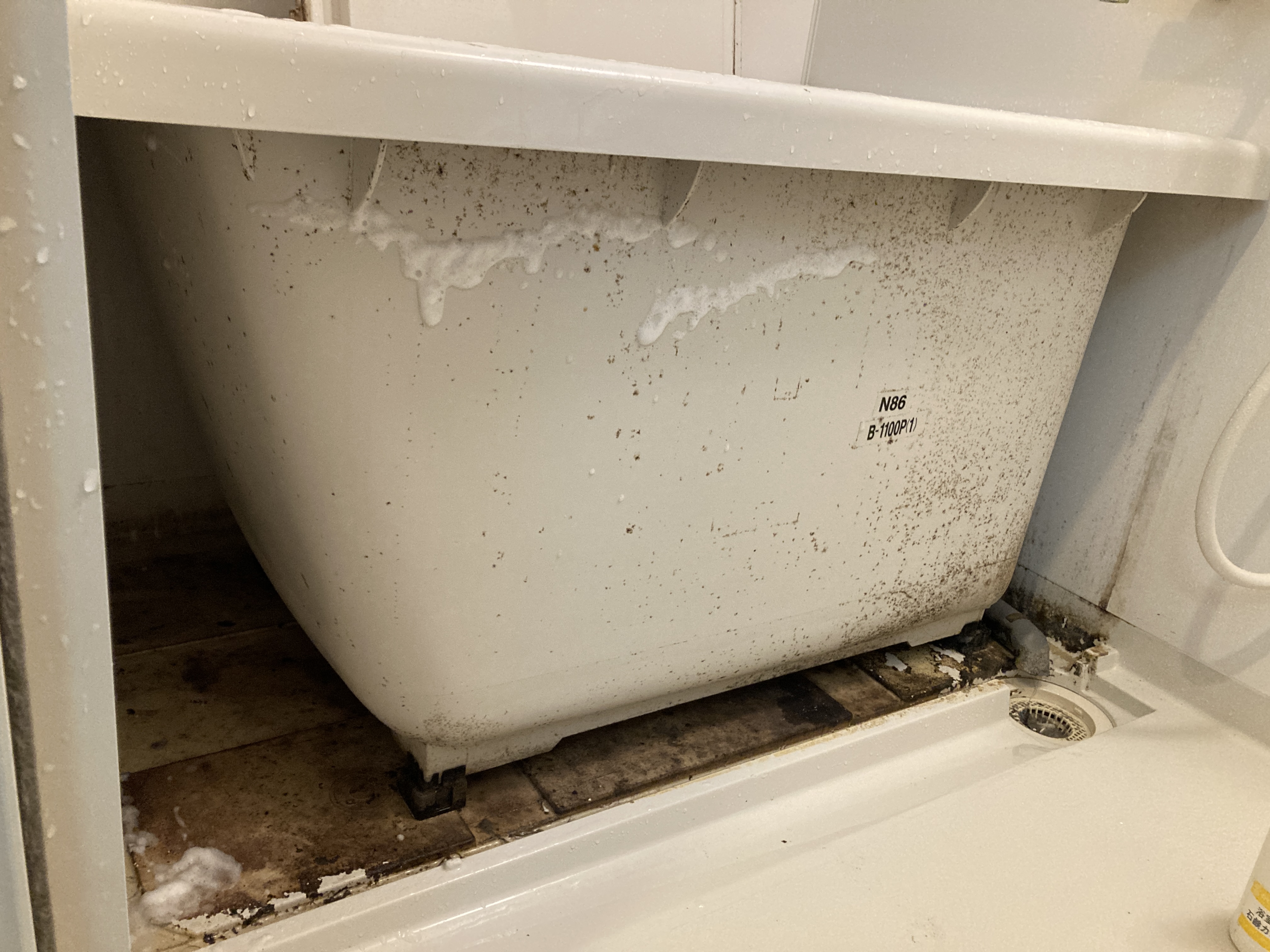 京都府京都市南区東九条東山王町の浴室・お風呂クリーニングの作業前1