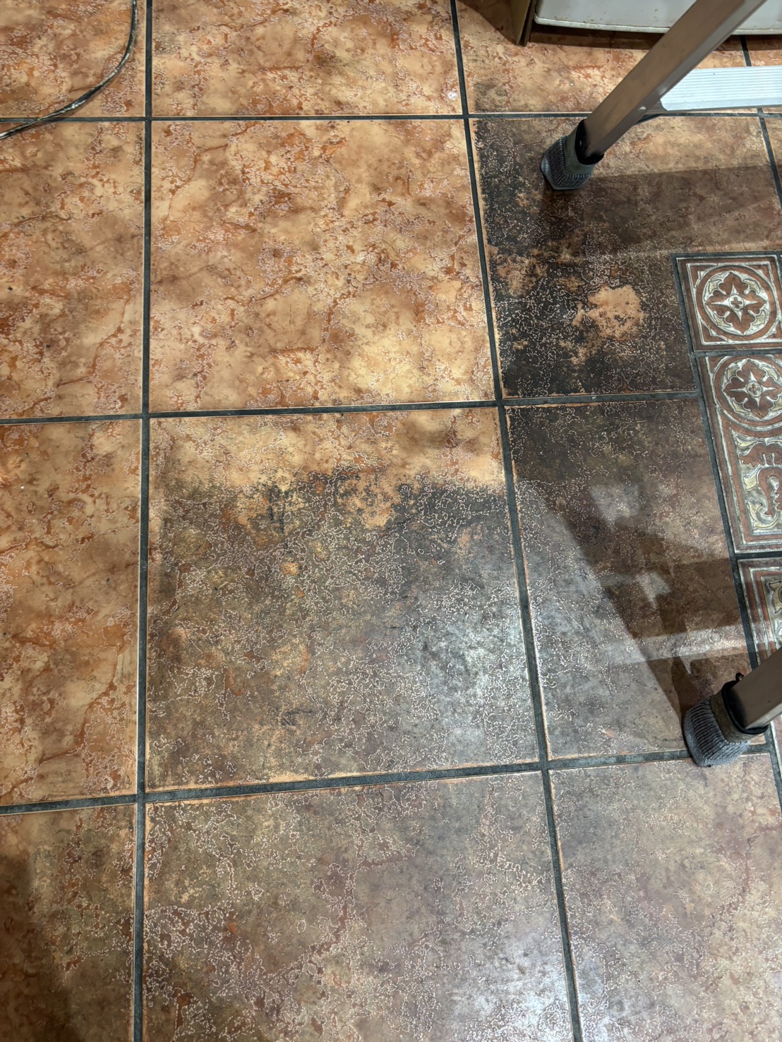 茨城県龍ケ崎市の飲食店清掃の作業前1