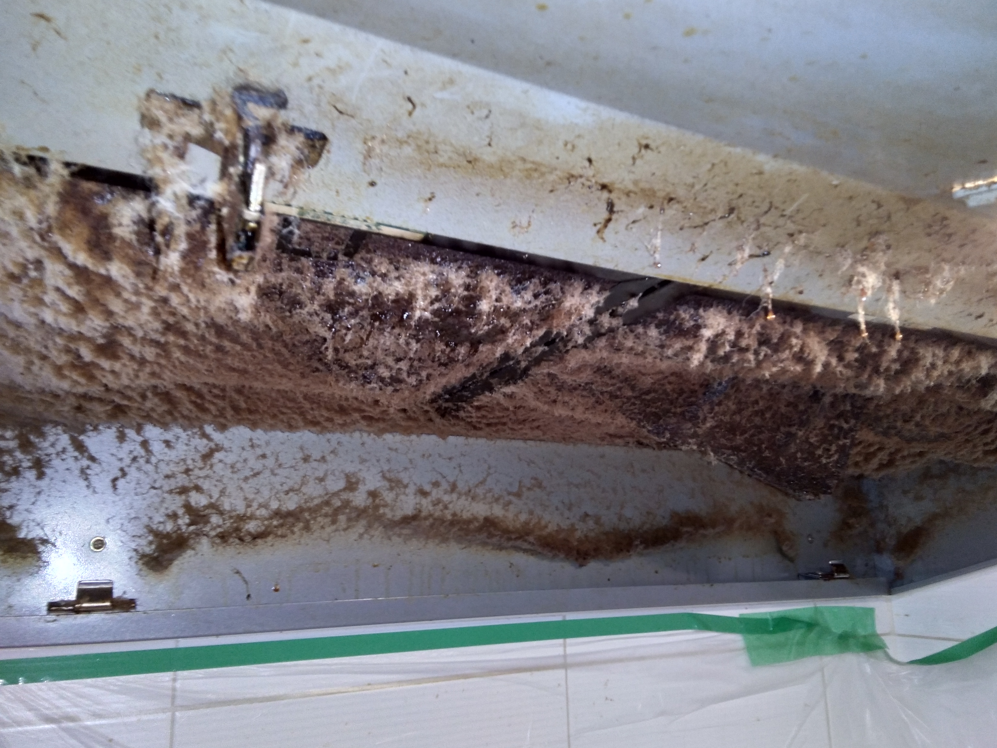 兵庫県姫路市のレンジフードクリーニングの作業前1