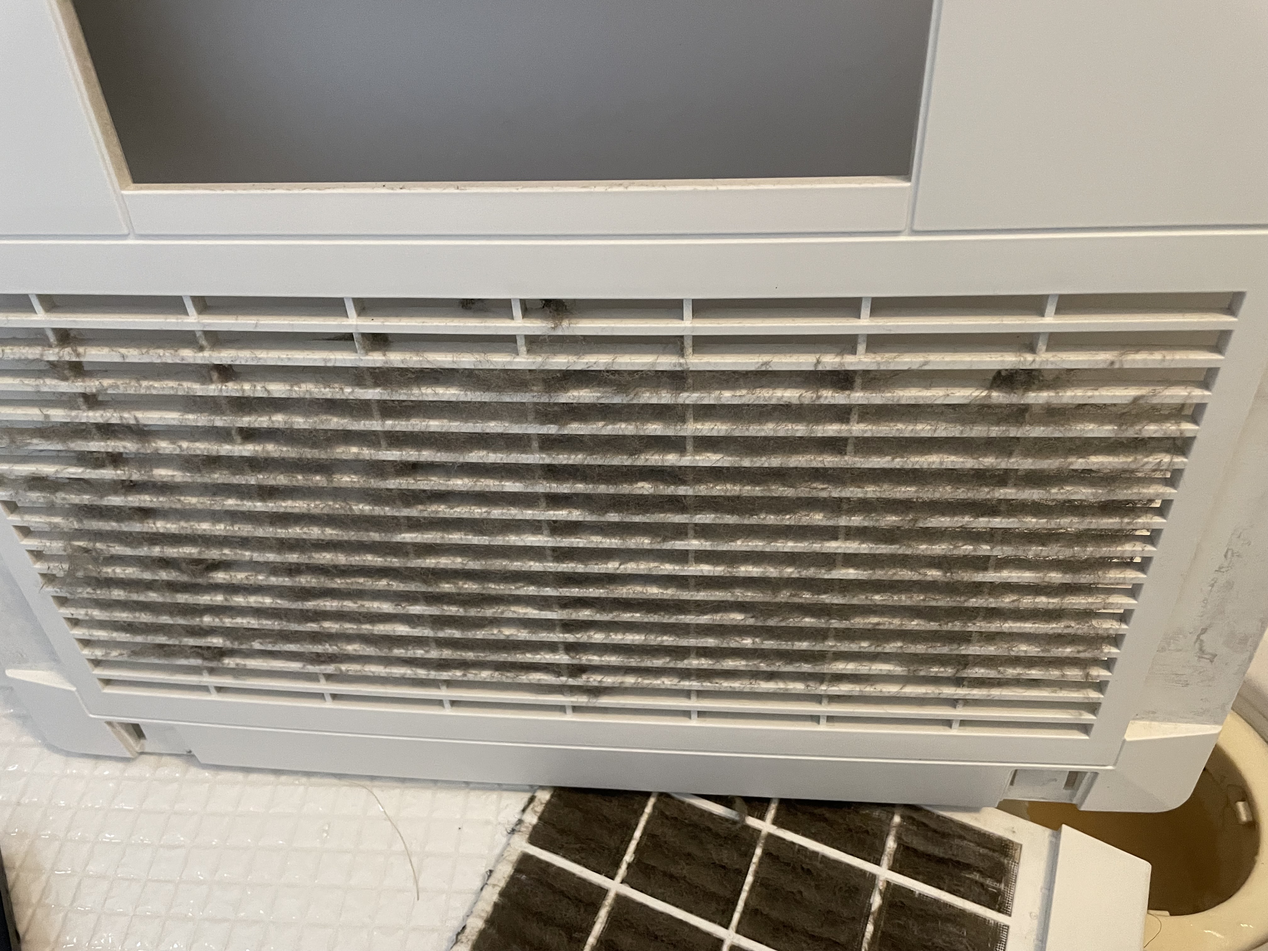 千葉県市川市大和田の浴室乾燥機クリーニングの作業前1