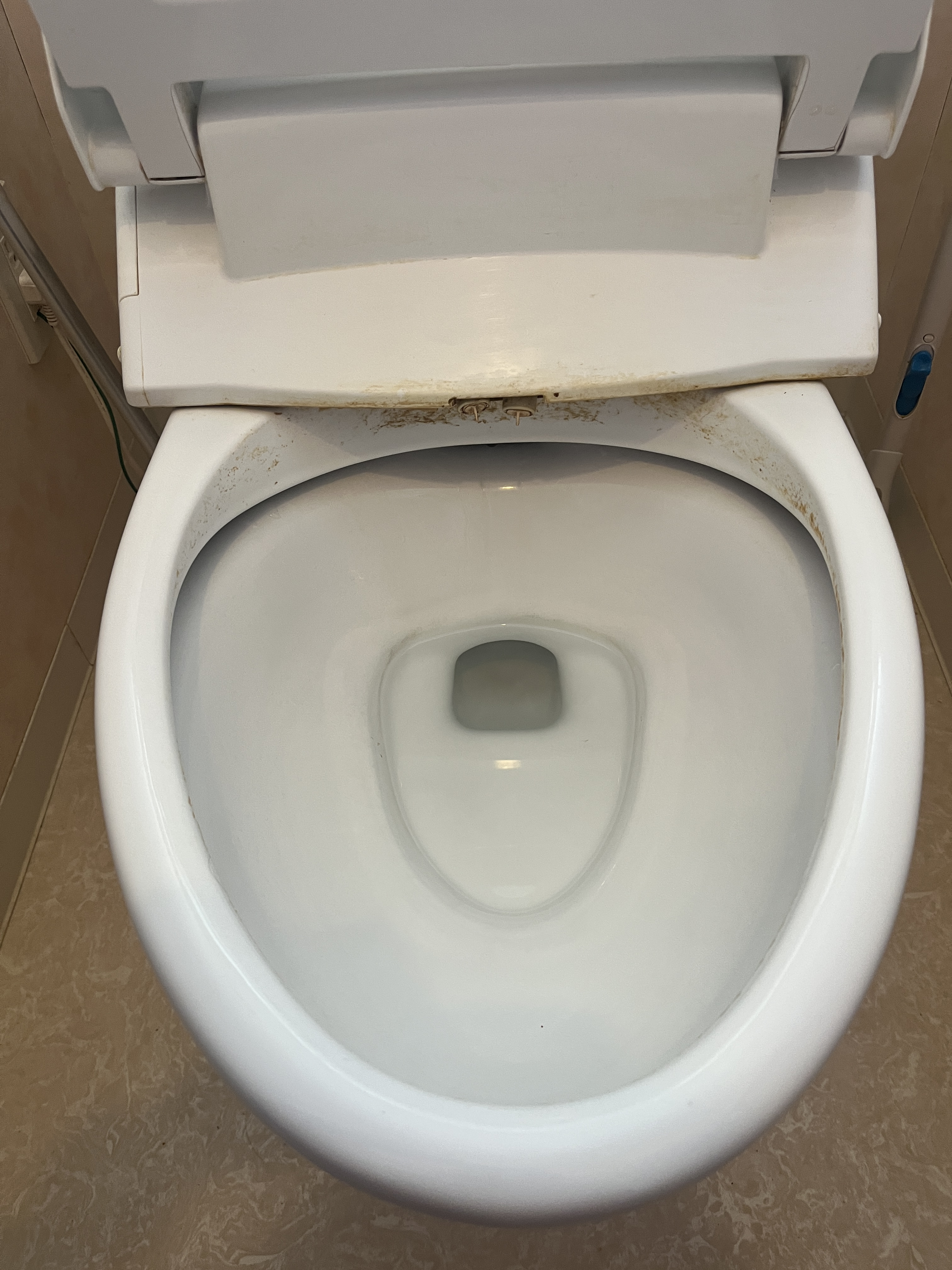 愛知県豊橋市のトイレクリーニングの作業前3