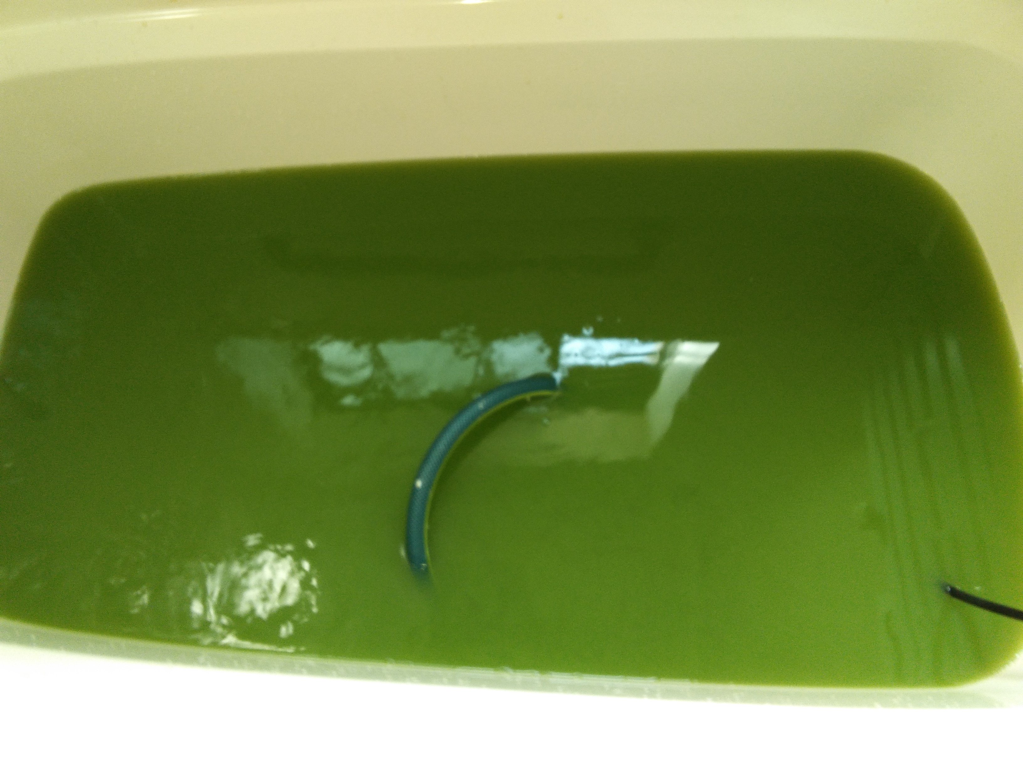 兵庫県神崎郡福崎町の追い焚き配管除菌洗浄の作業前1